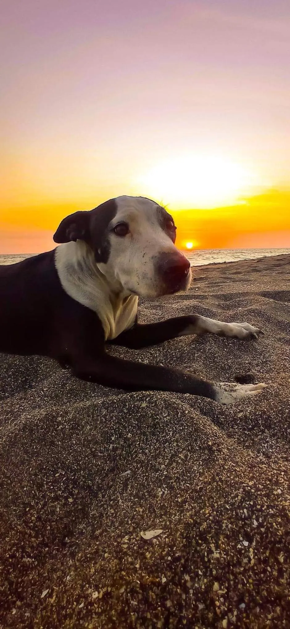 Natural landscape in El Belga Loco