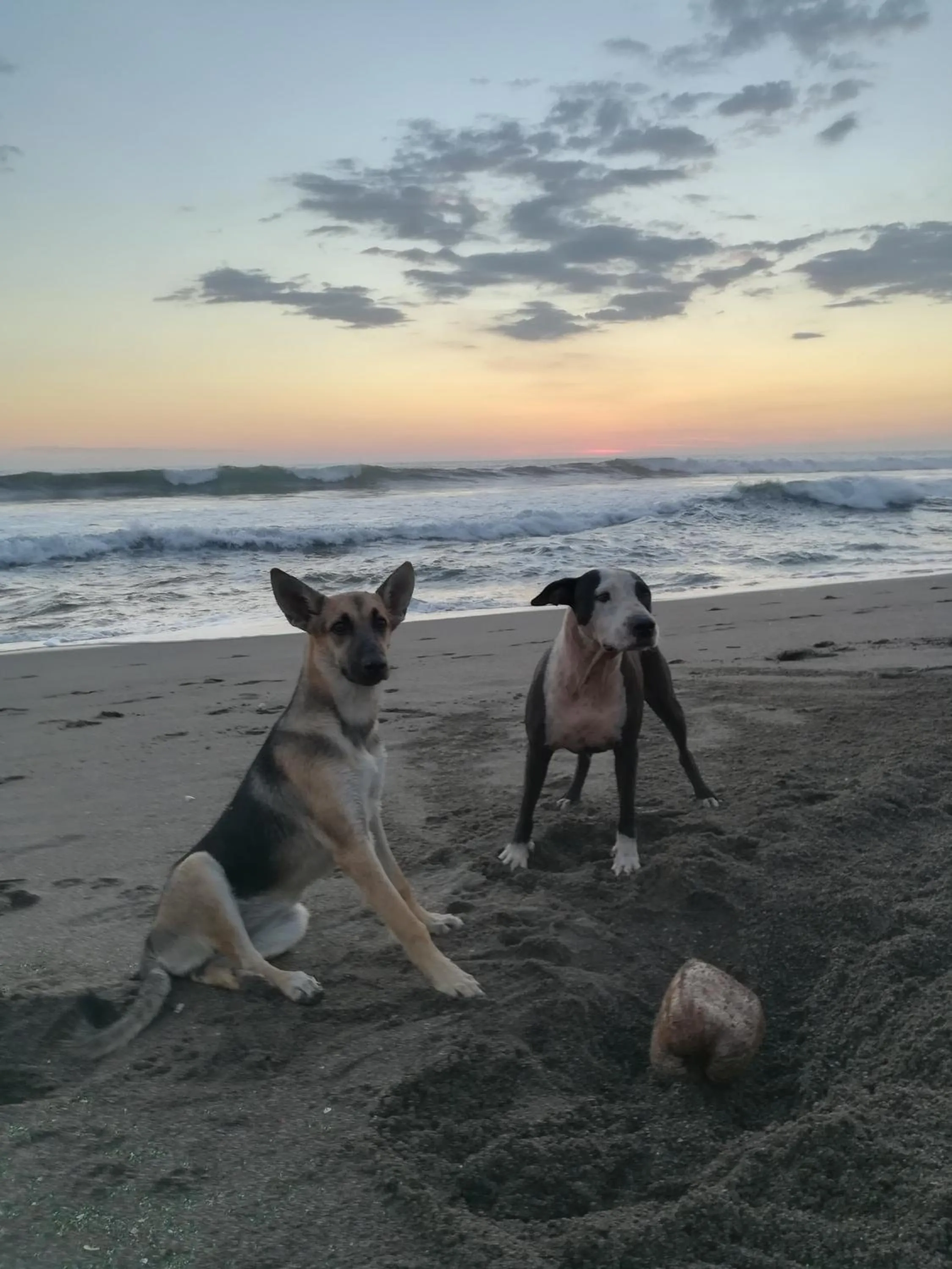 Natural landscape in El Belga Loco