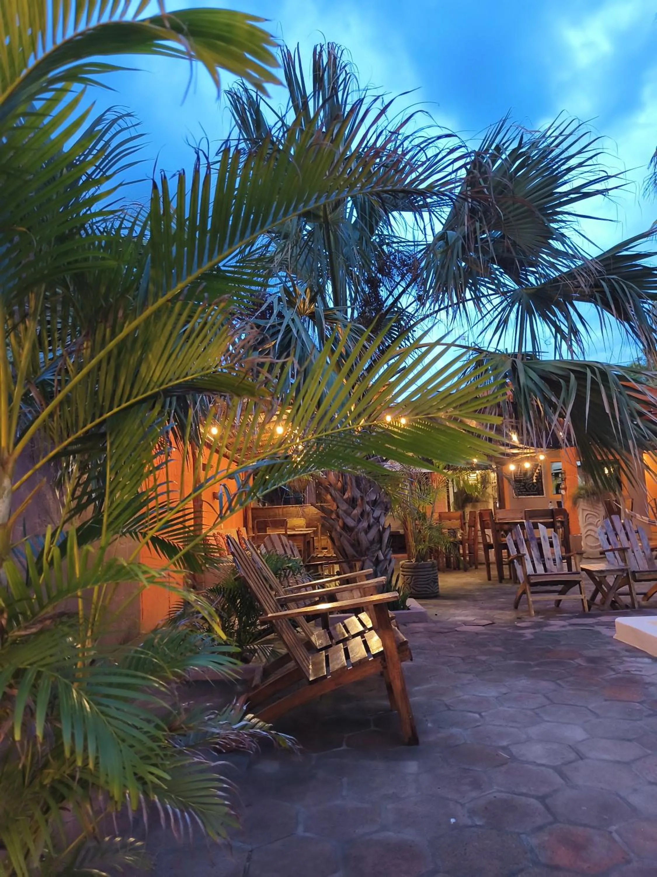 Pool view in El Belga Loco