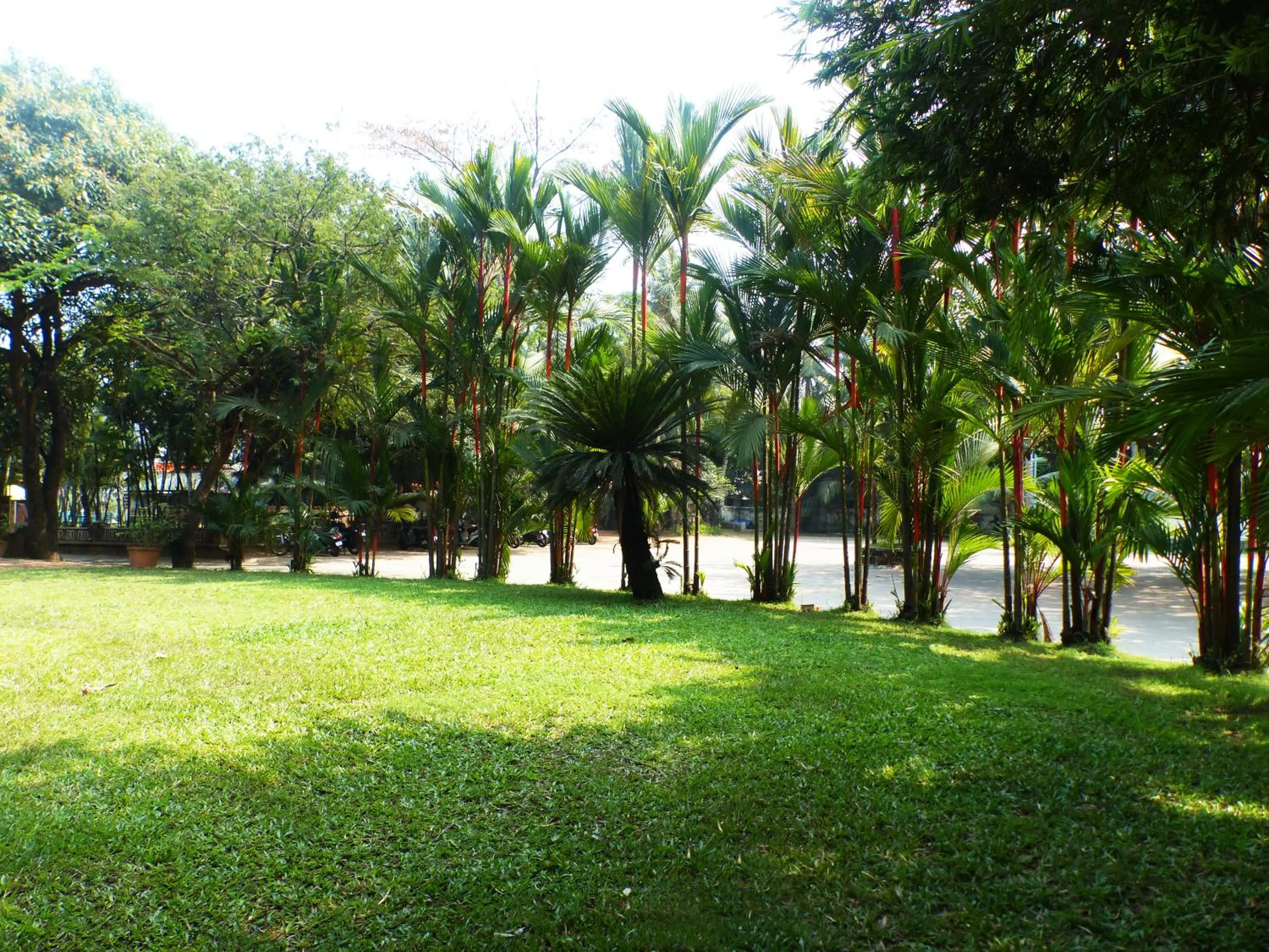 BBQ facilities in Hotel Highway Garden