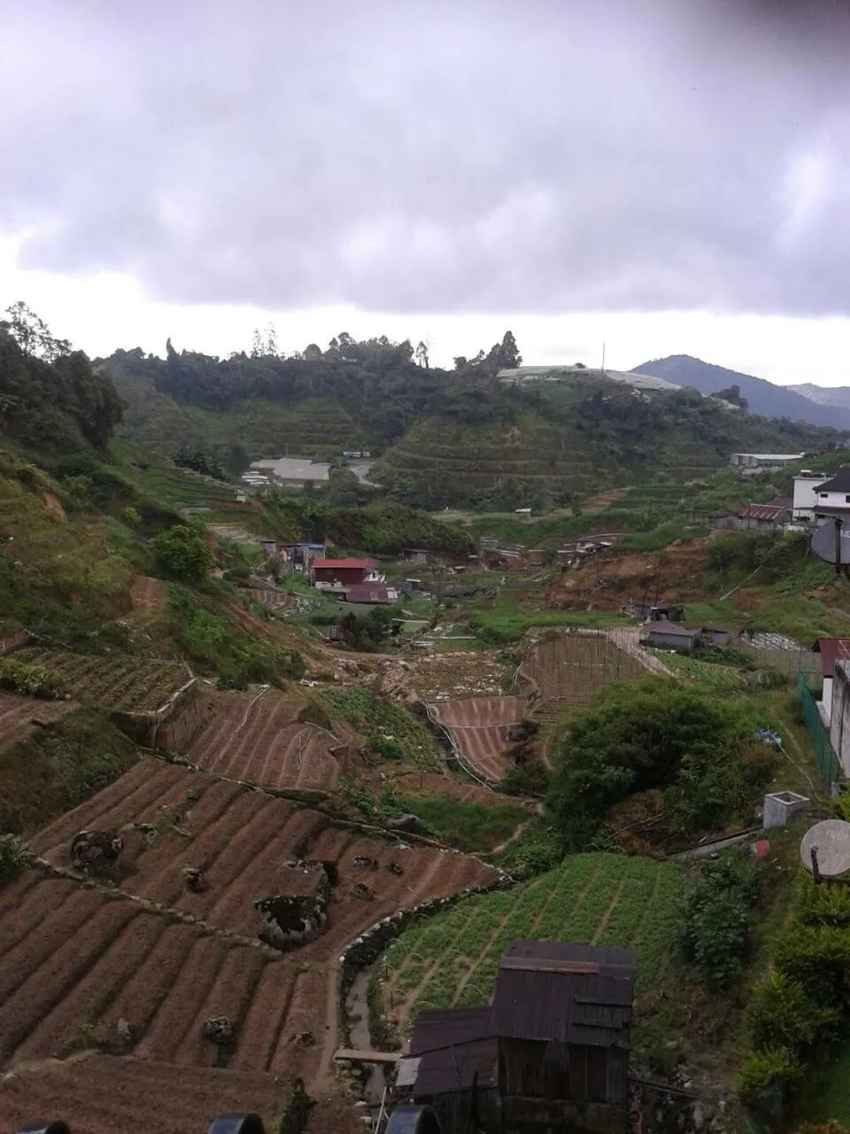 Rose Apartment Kea Farm