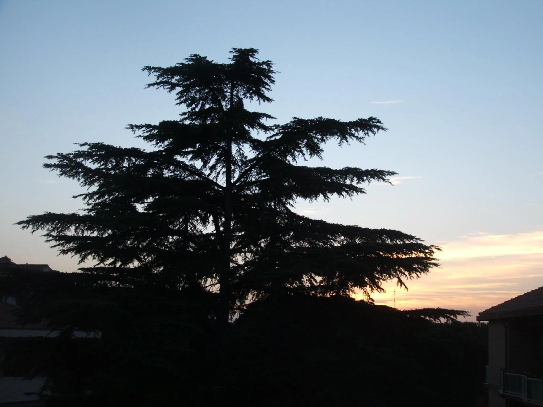 Decorative detail in B&B La Cubanina