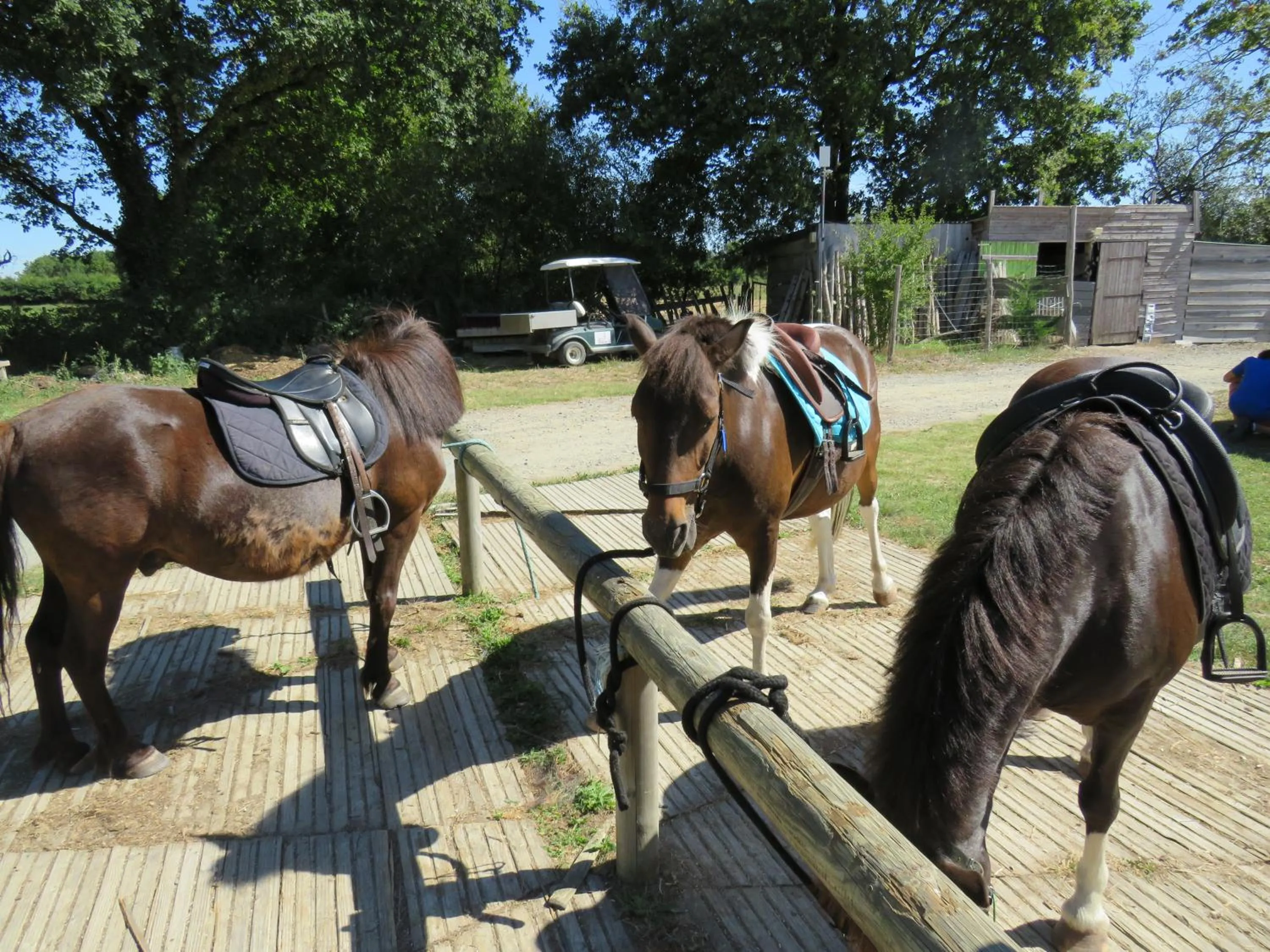 Horse-riding in Camping Les P'tites Maisons dans la Prairie