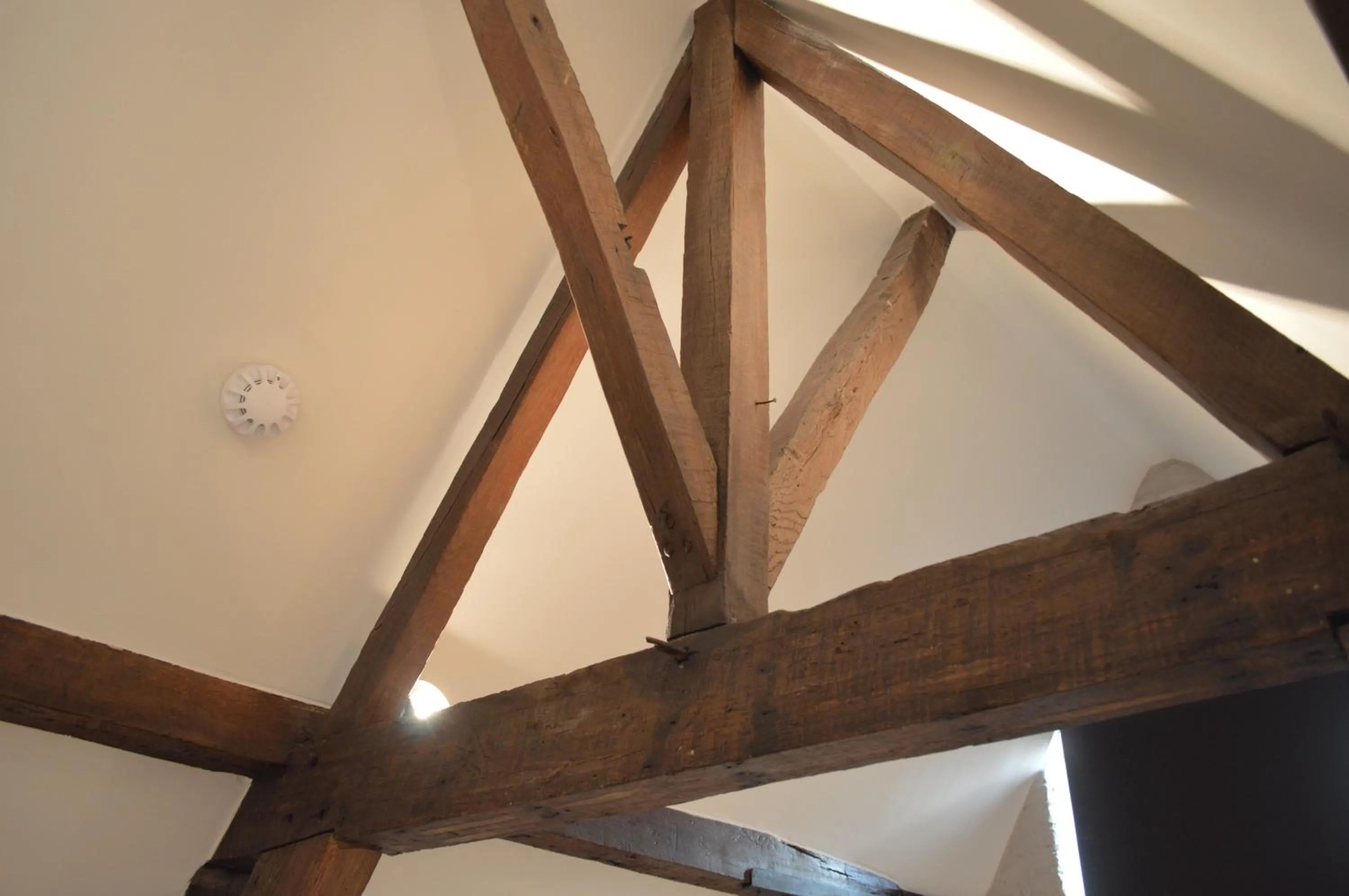 Other in De Waterzooi Lodge