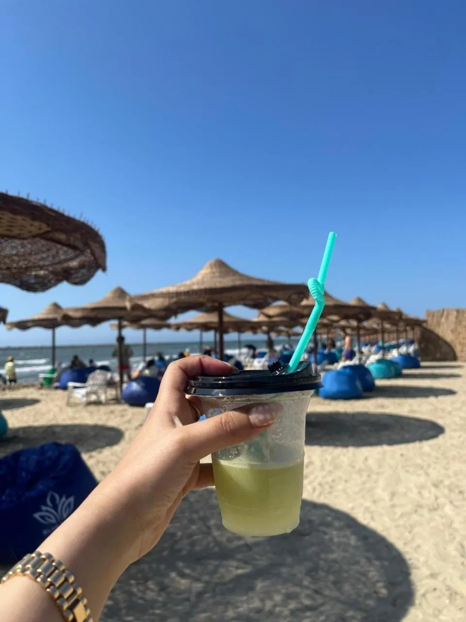 Beach in Ras El Bar Apartments Armed Forces