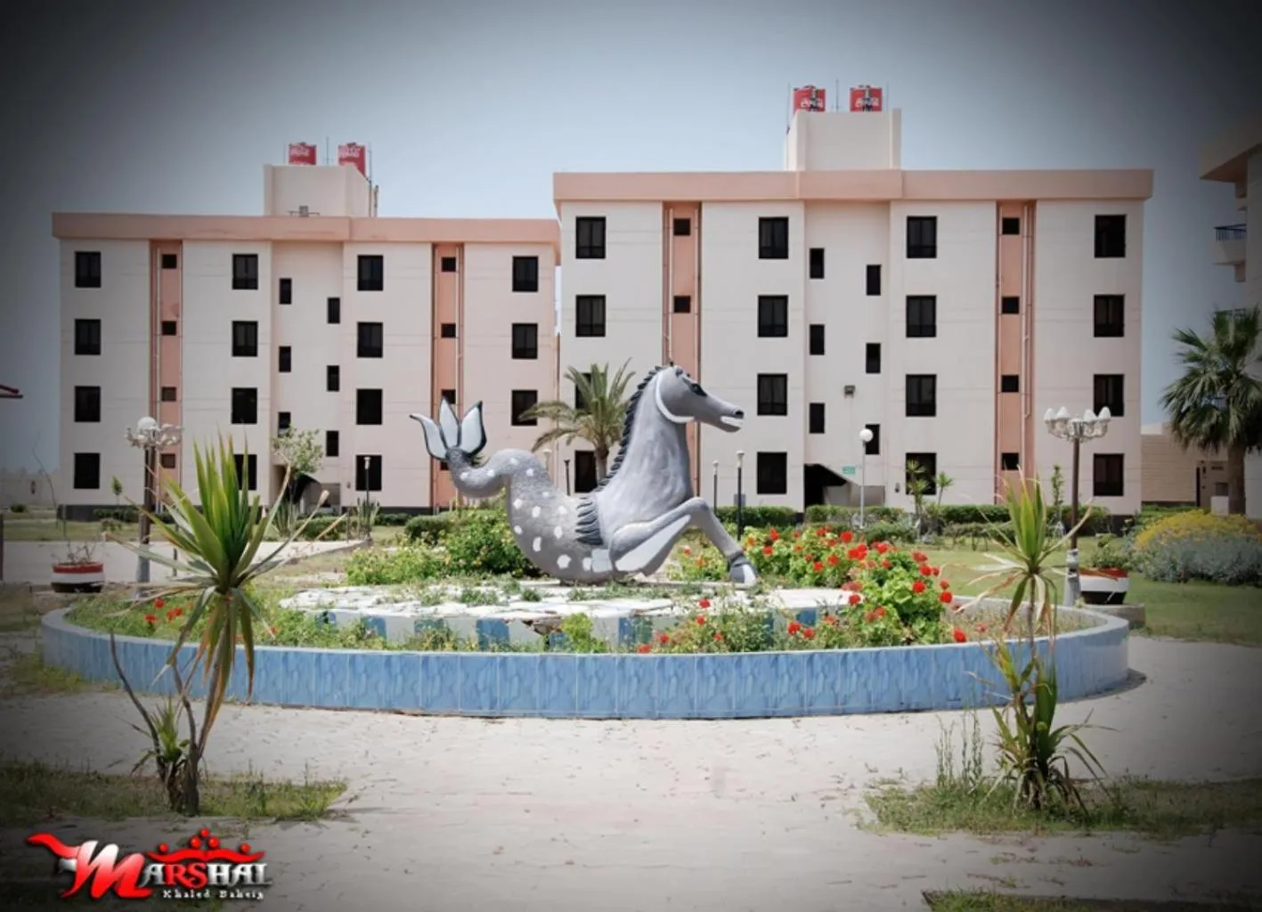 Property building in Ras El Bar Apartments Armed Forces