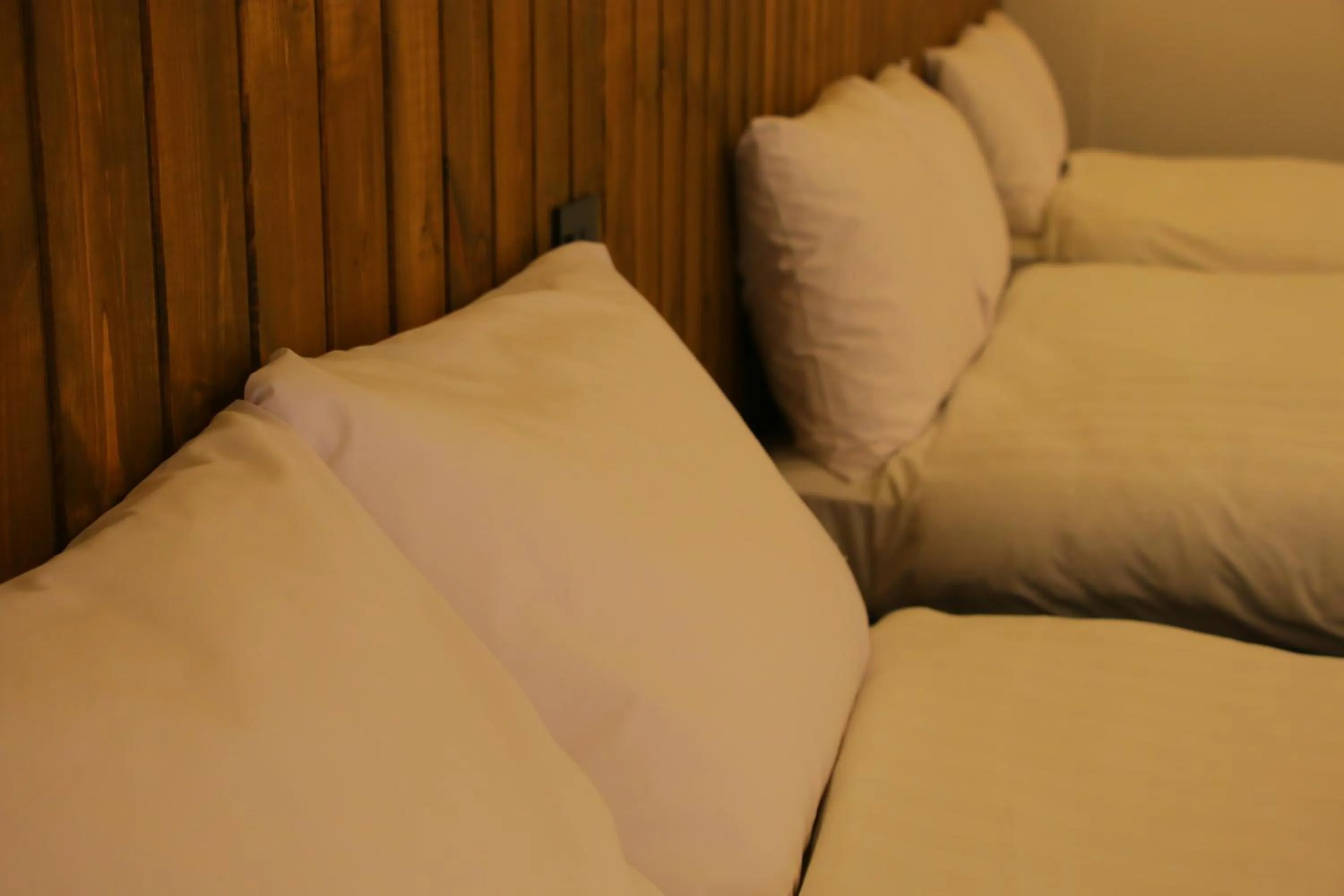 Photo of the whole room in Tamaki Ryokan