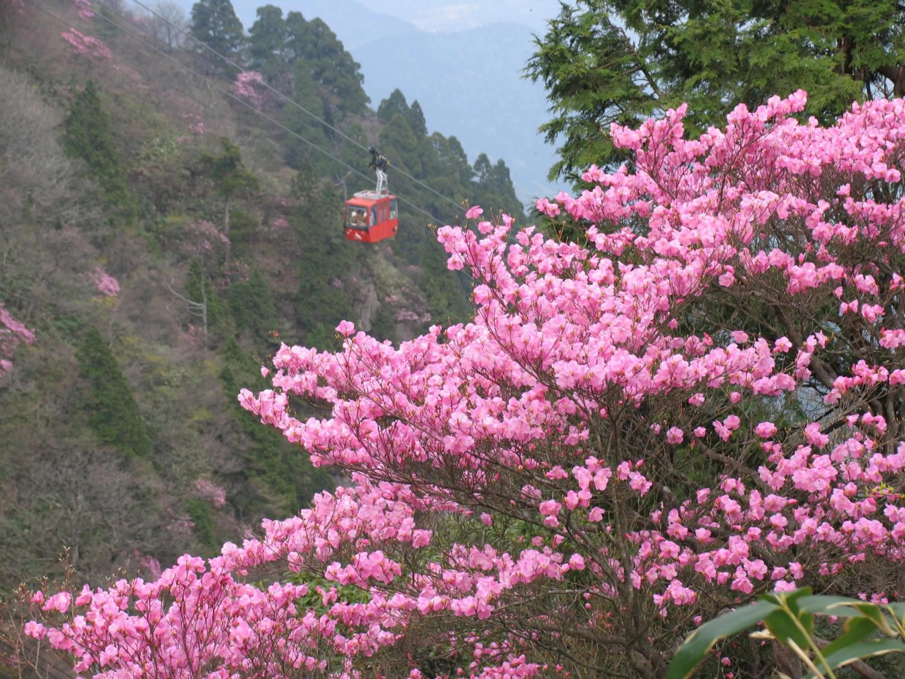 Spring in Hotel Yunomoto