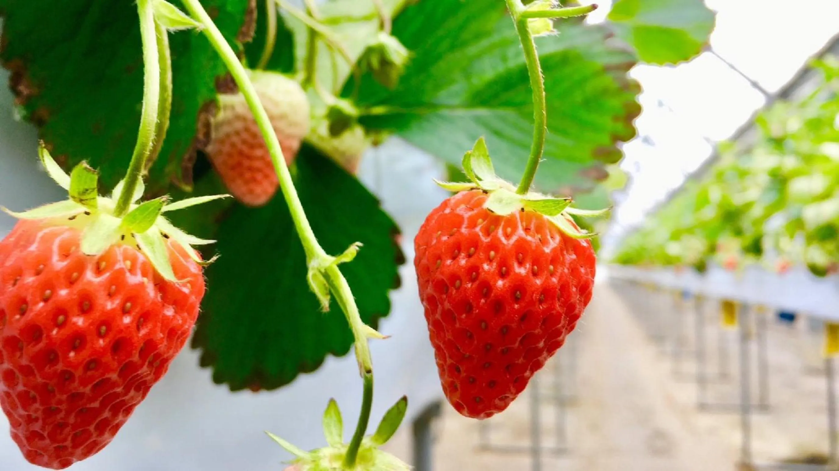 Nearby landmark in Hotel Yunomoto