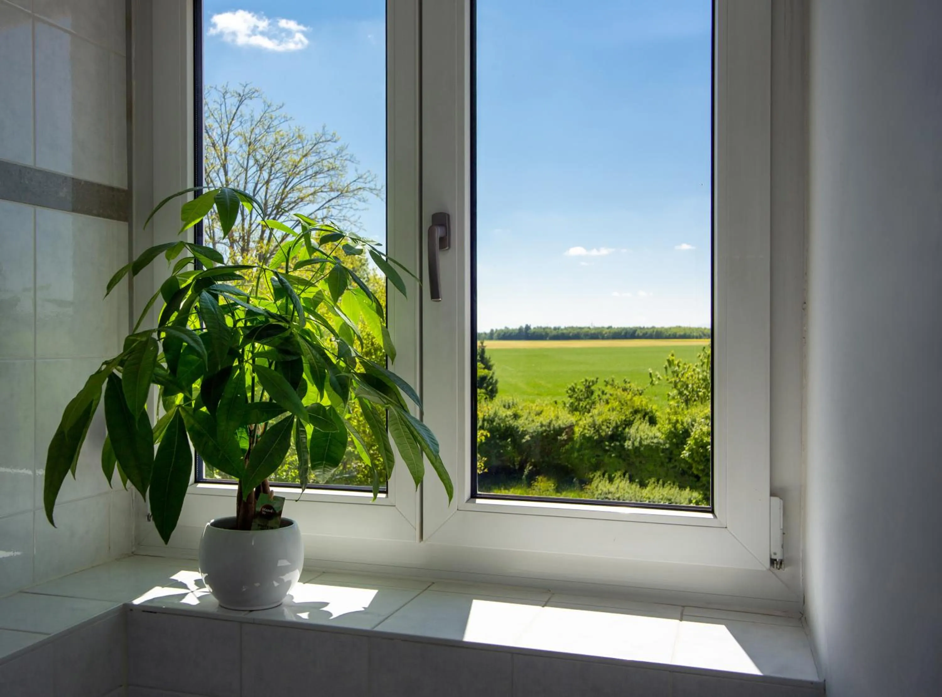 View (from property/room) in Arcus Hotel München Messe