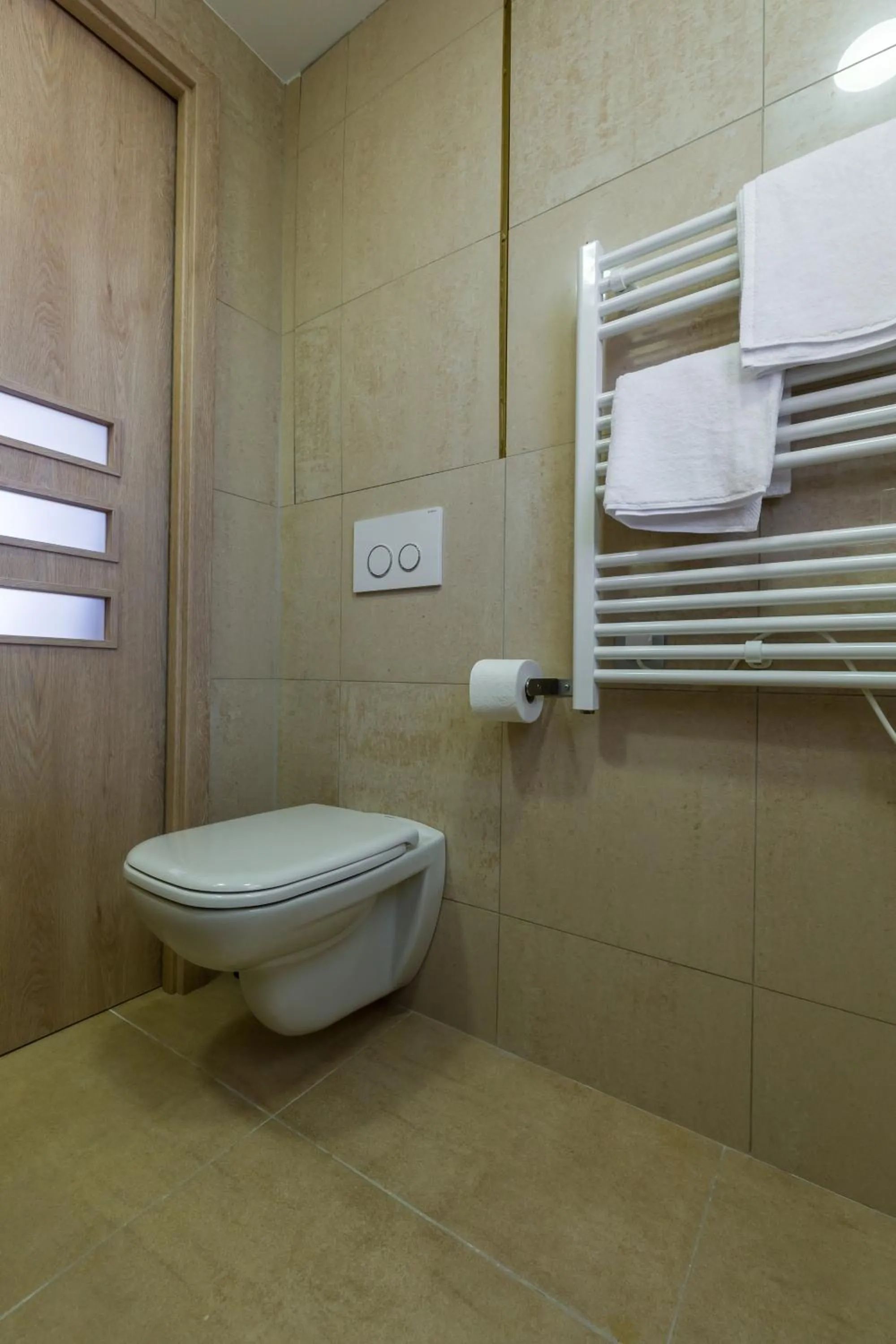 Toilet in Palais Saint Pierre