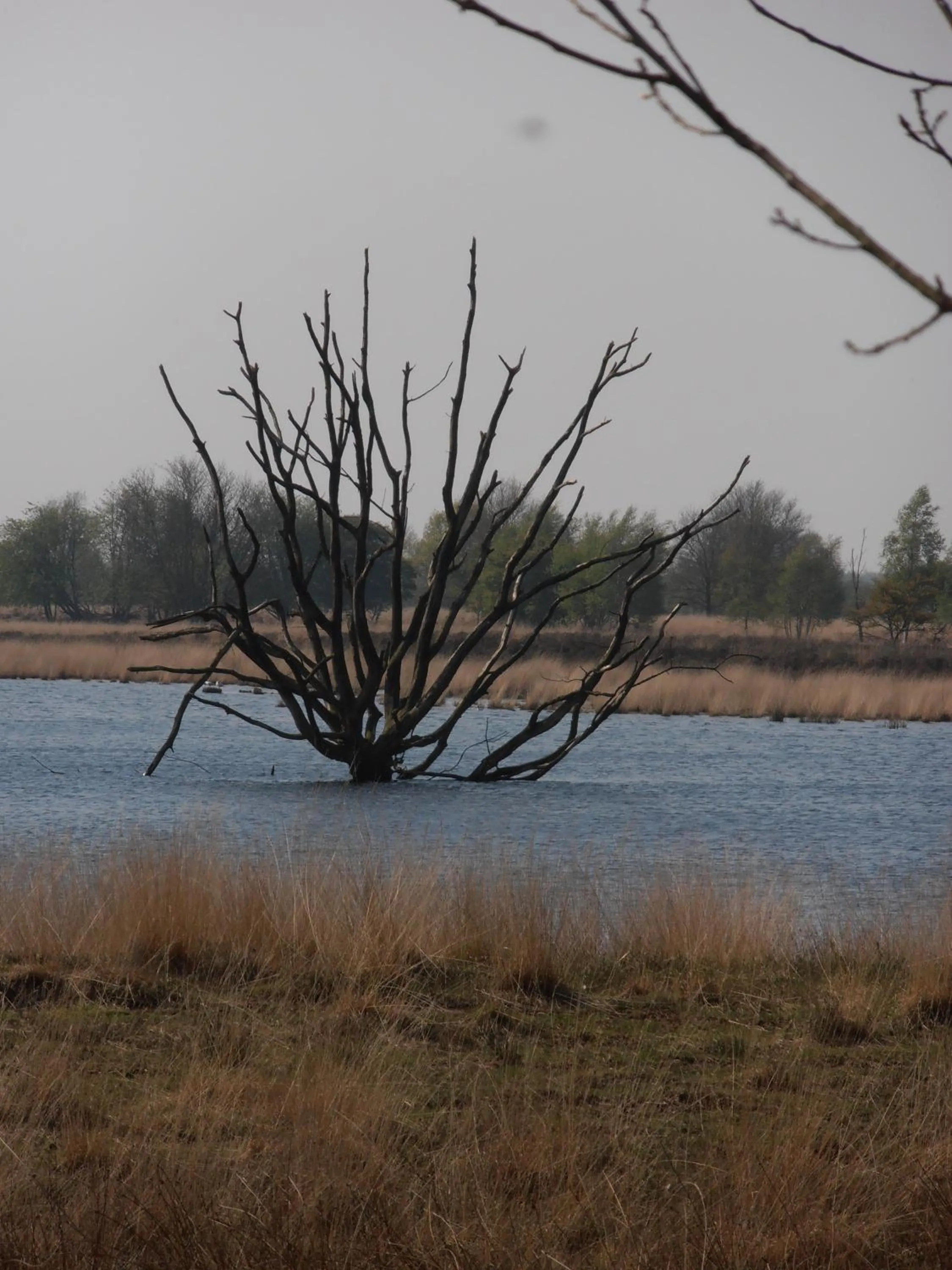 Nearby landmark in Gezond Boeren Verstand