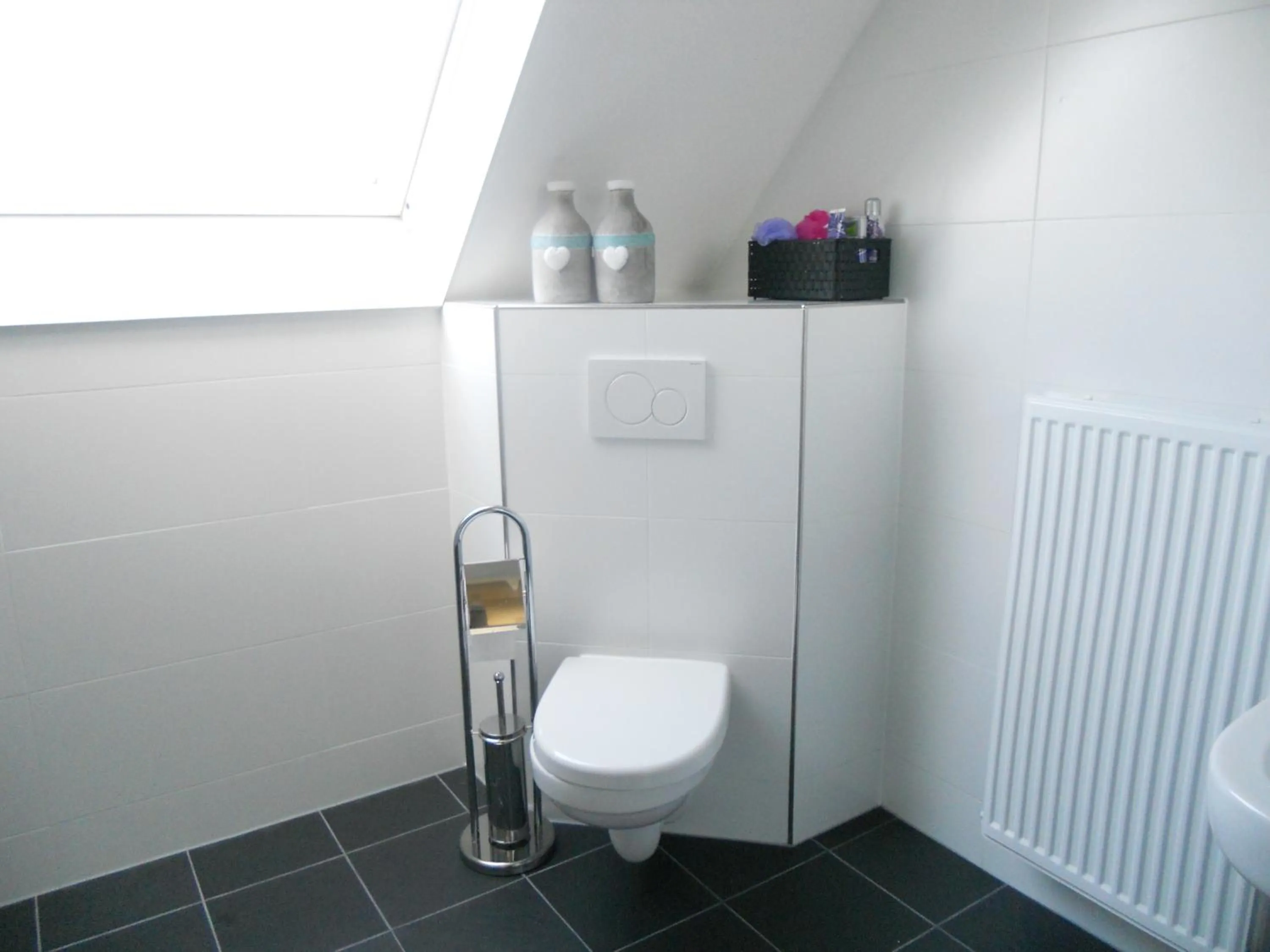 Toilet in Gezond Boeren Verstand