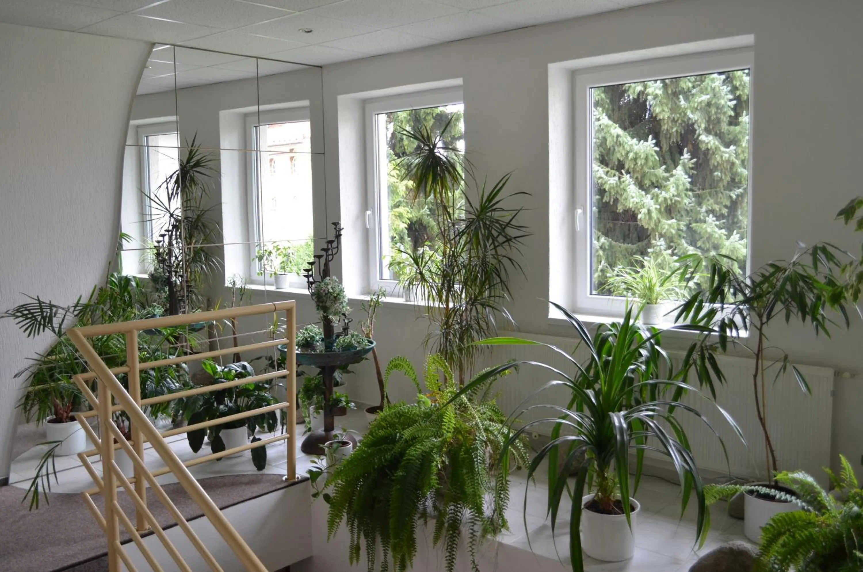 Lobby or reception in Hotel Amos