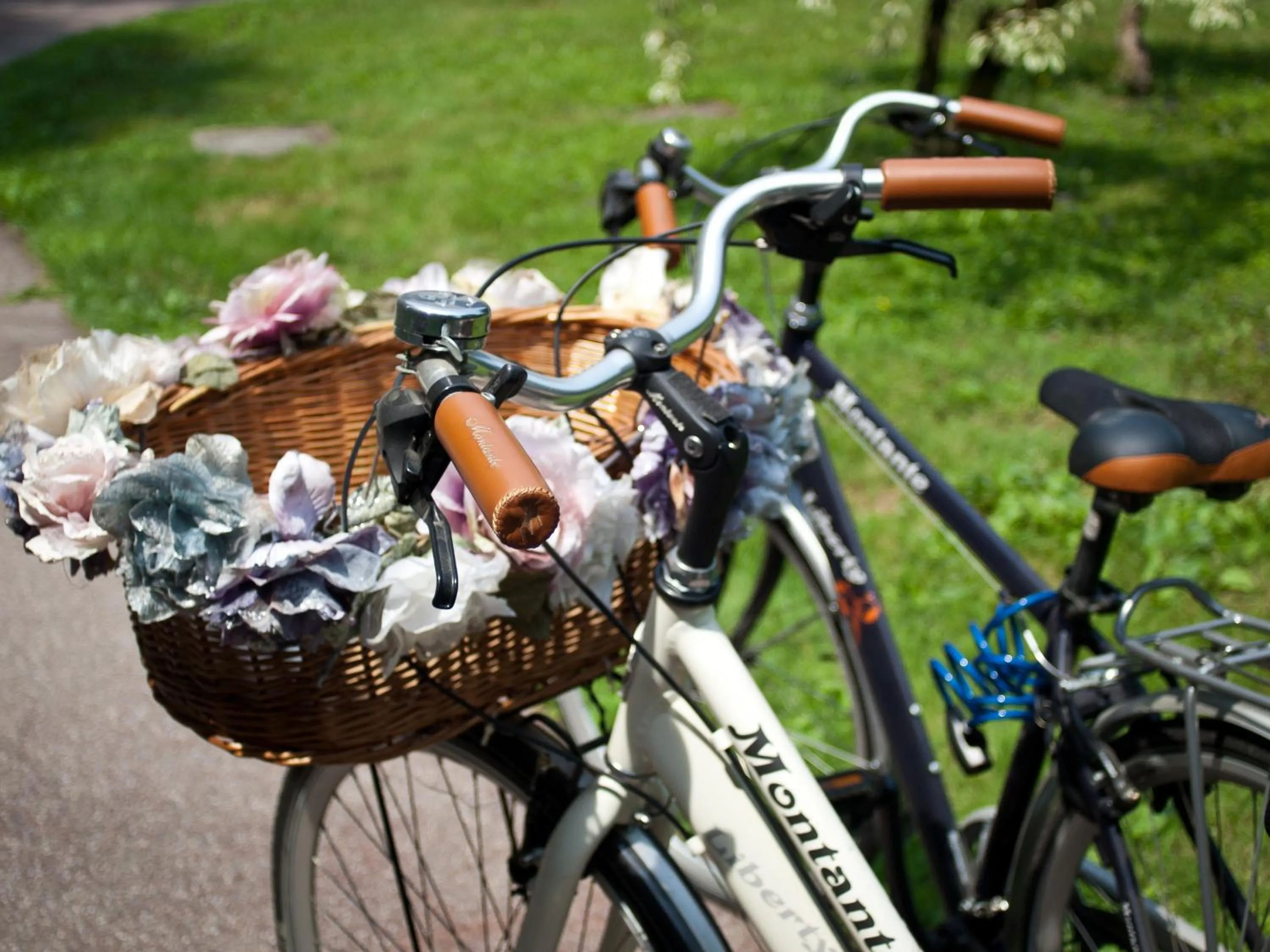 Cycling in Elena's Home