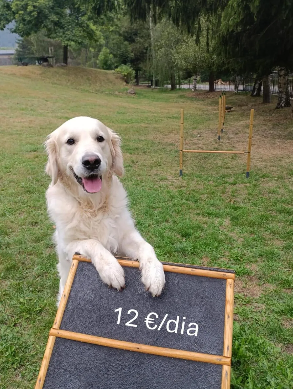 Garden in Apartaments Giberga