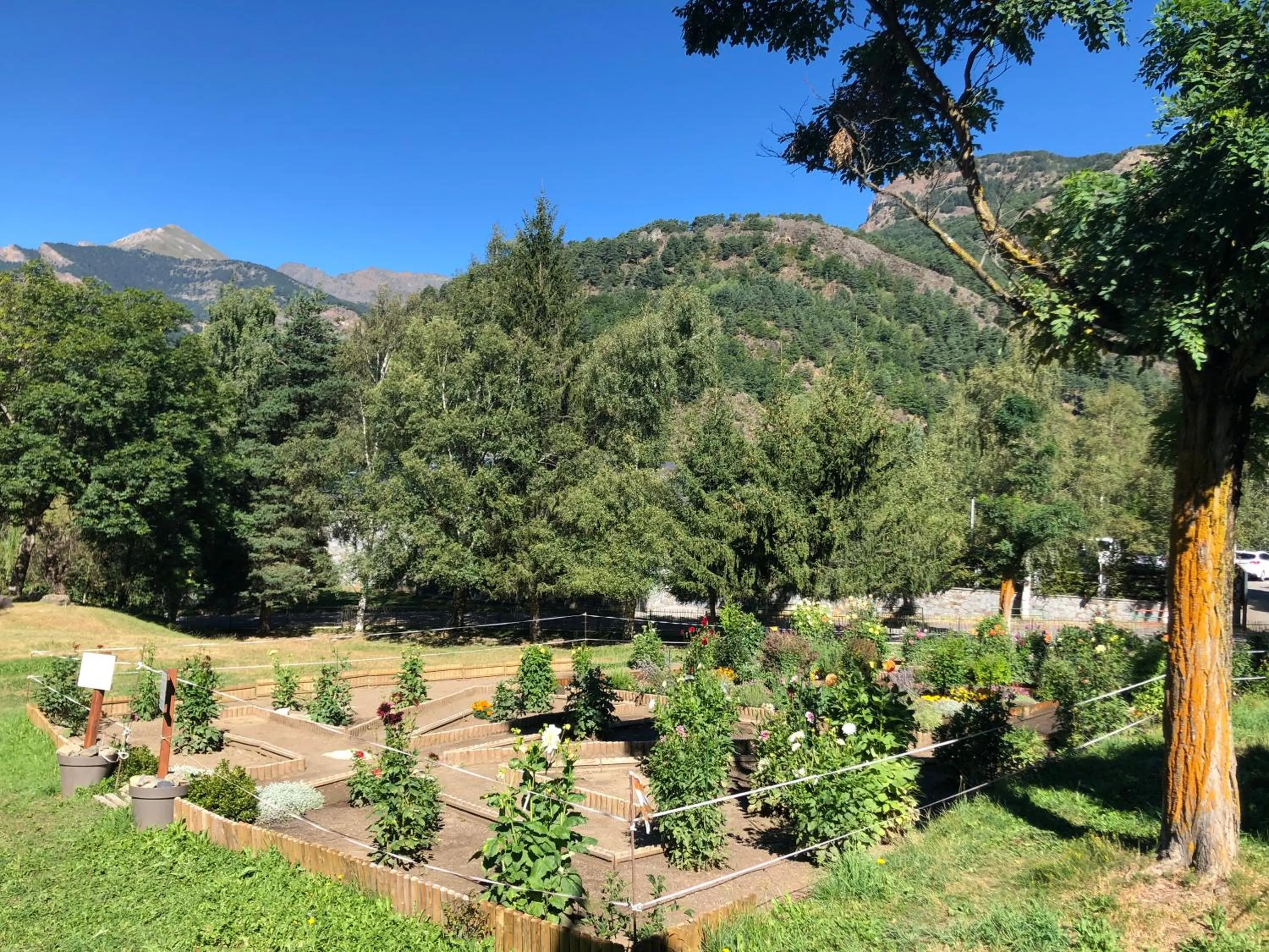 Natural landscape in Apartaments Giberga