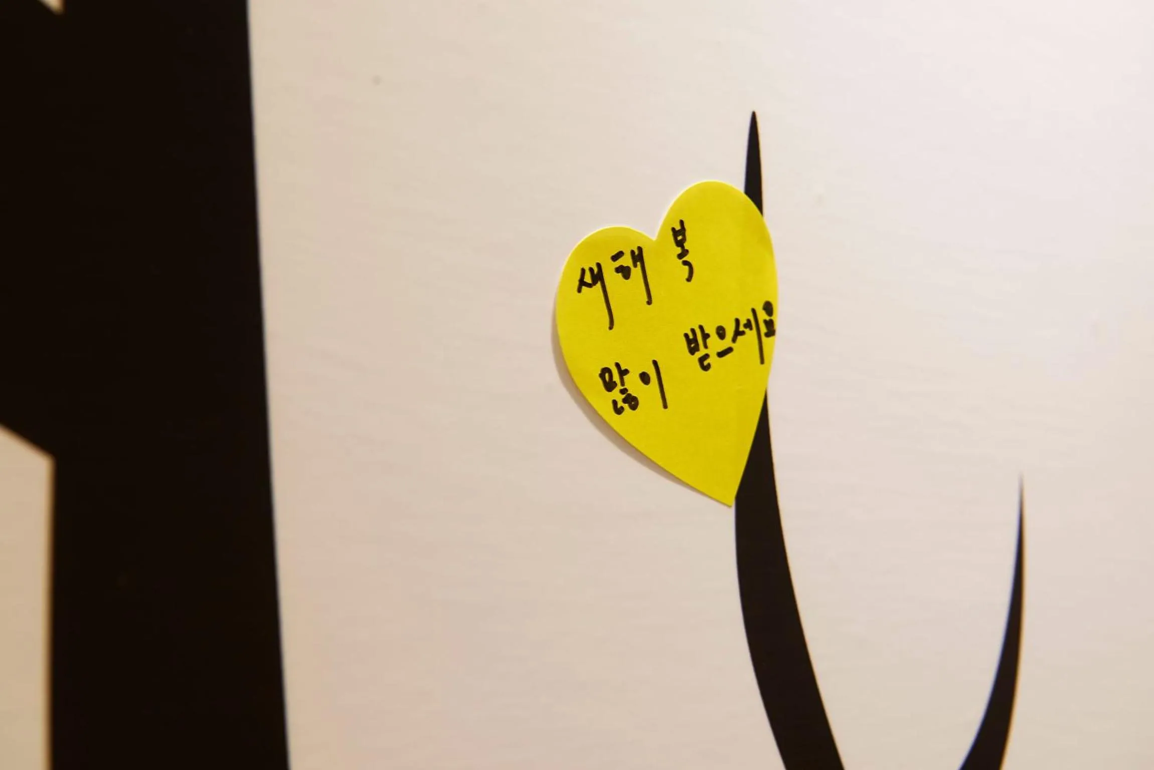 Other in Ease Single Inn