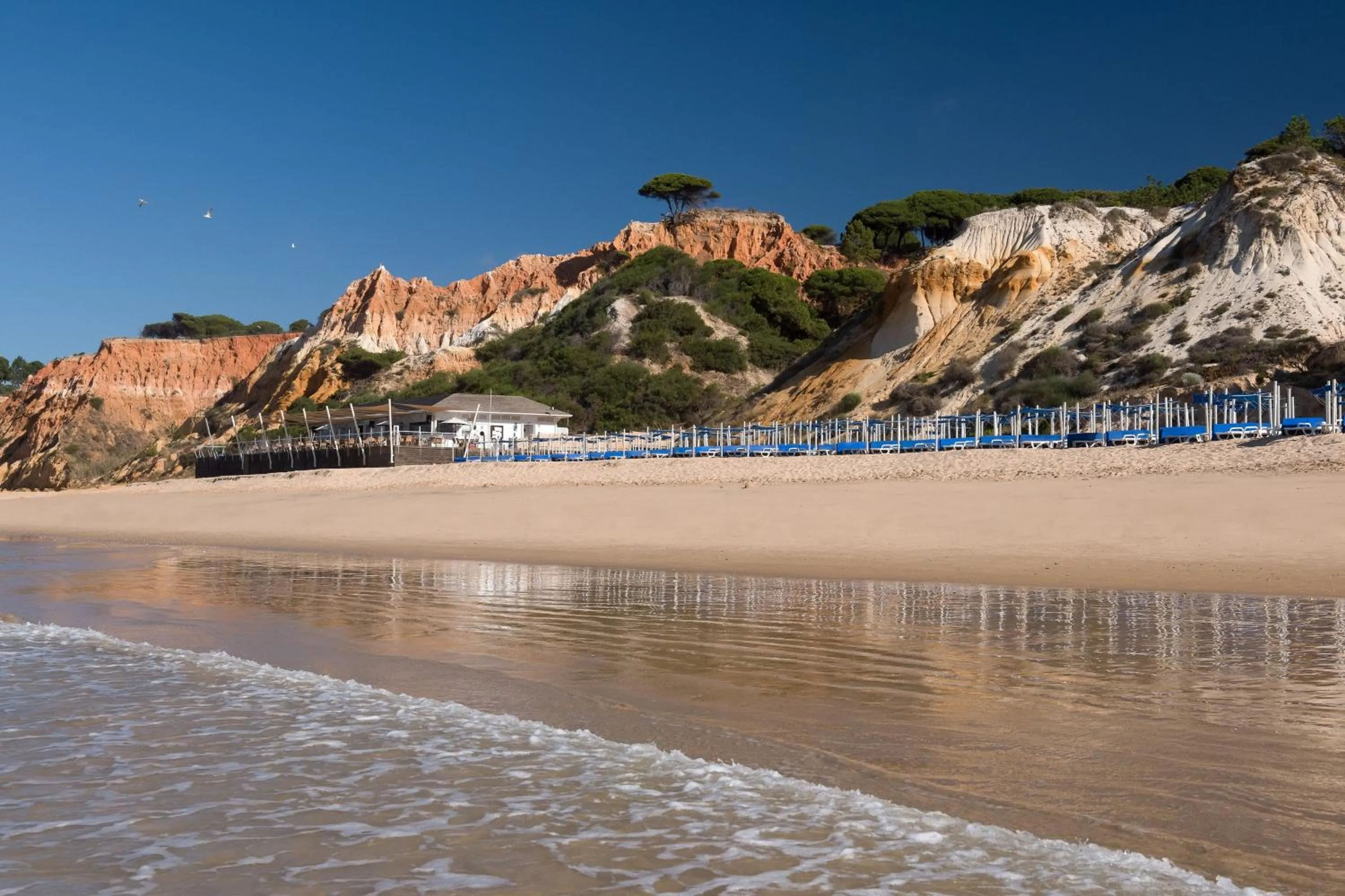 Beach in Pine Cliffs Ocean Suites, a Luxury Collection Resort & Spa, Algarve