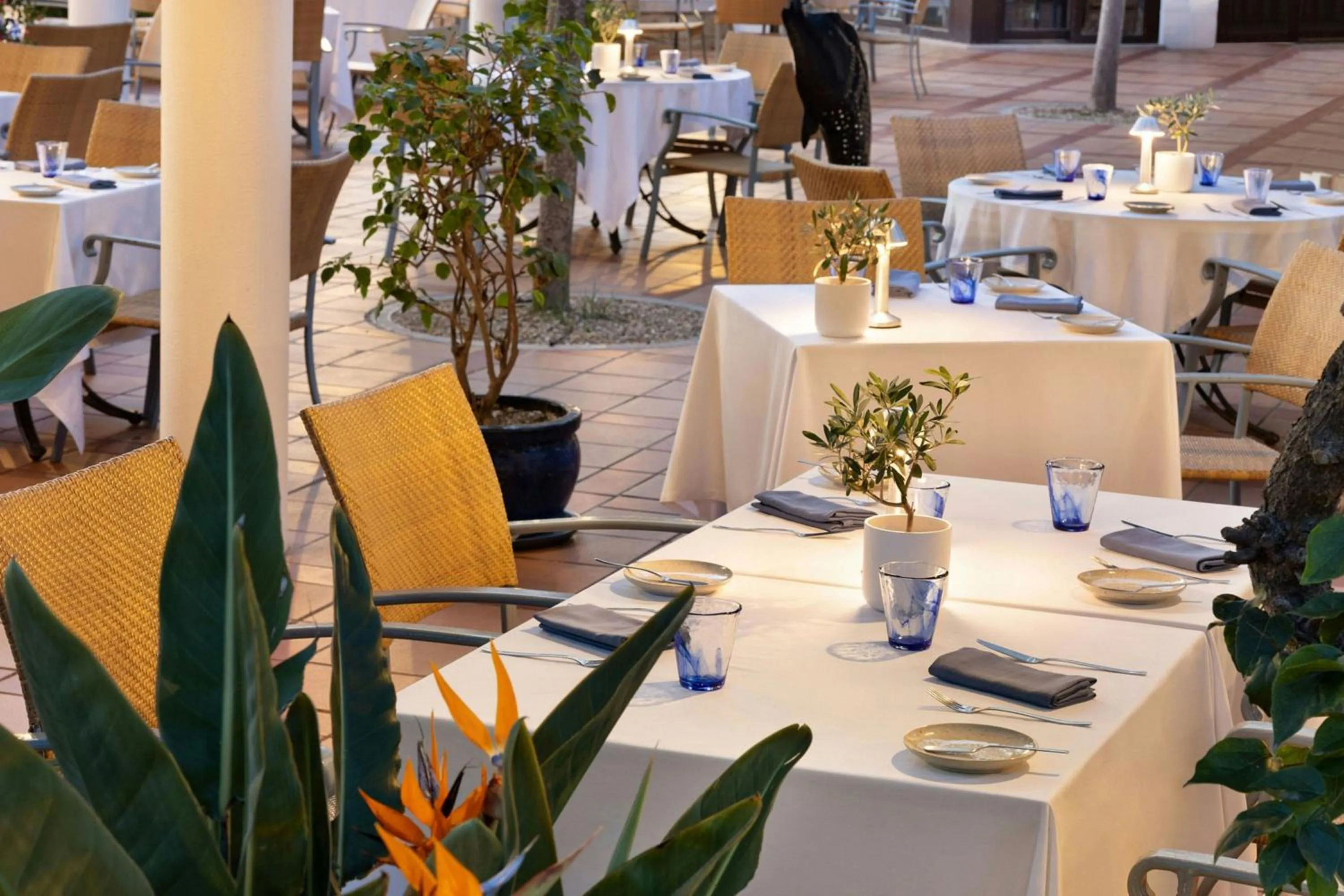 Restaurant/places to eat in Pine Cliffs Ocean Suites, a Luxury Collection Resort & Spa, Algarve