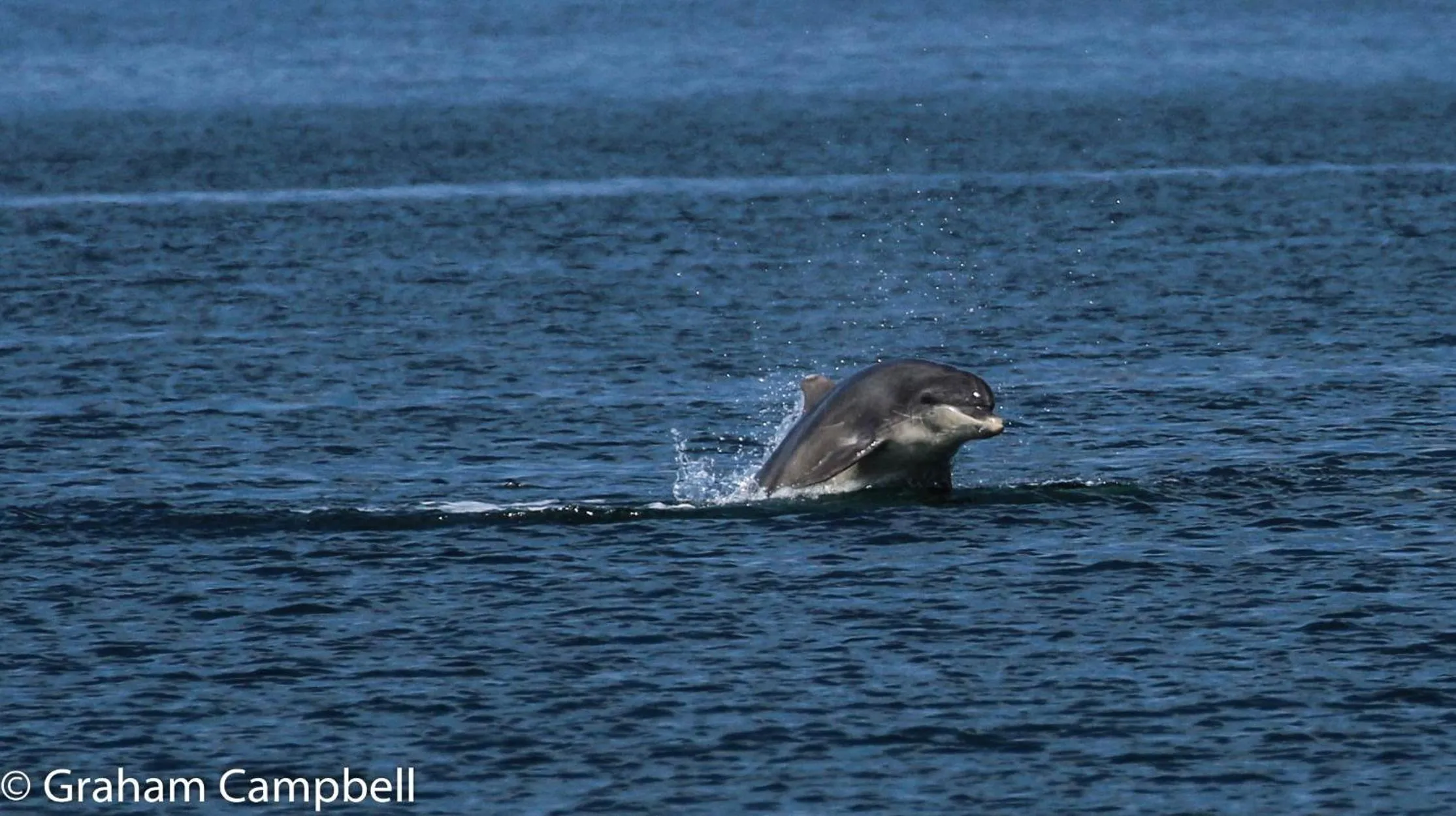 Beach in Kintrae B&B