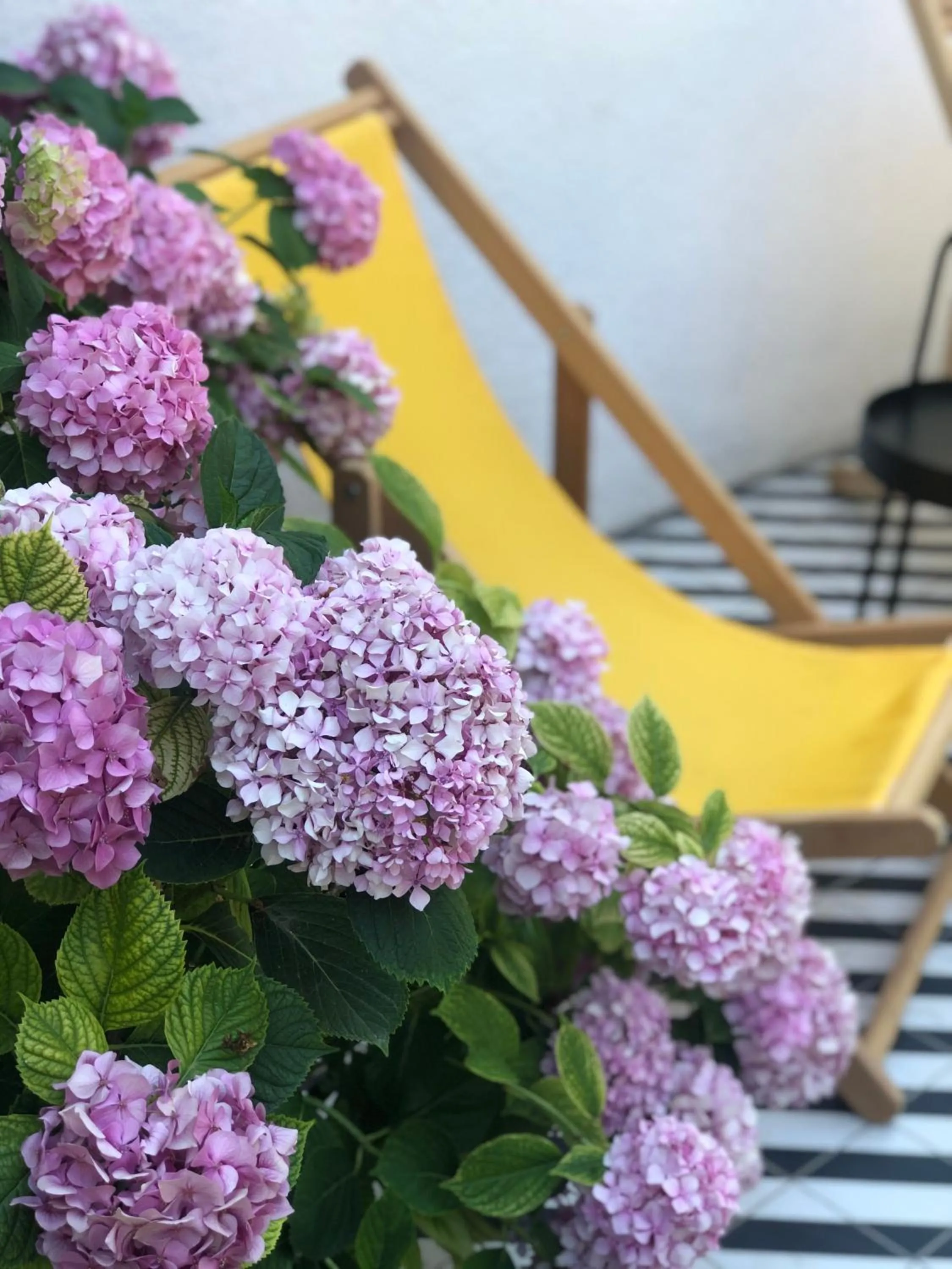 Garden in Serguzest Otel