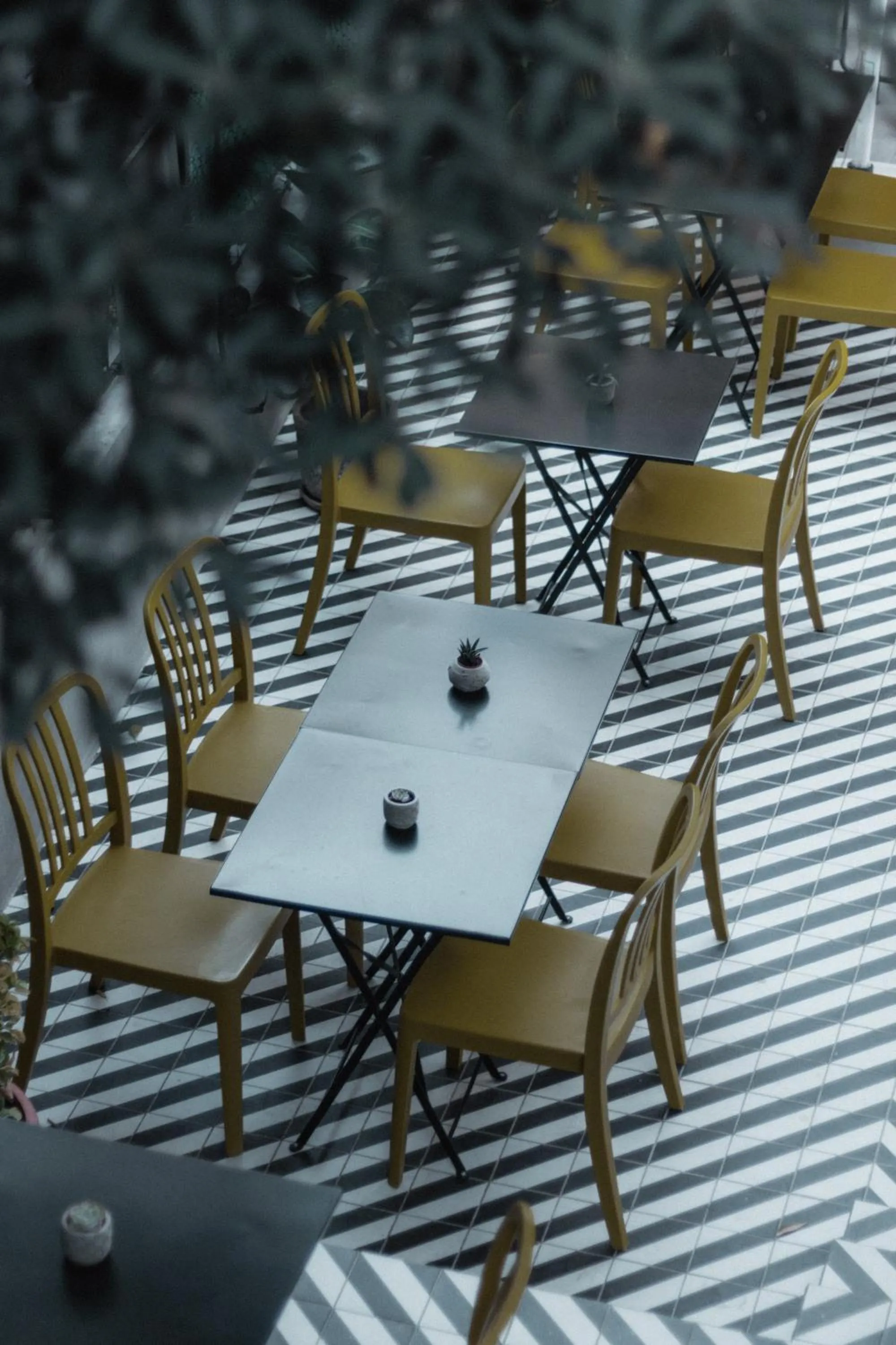 Garden in Serguzest Otel