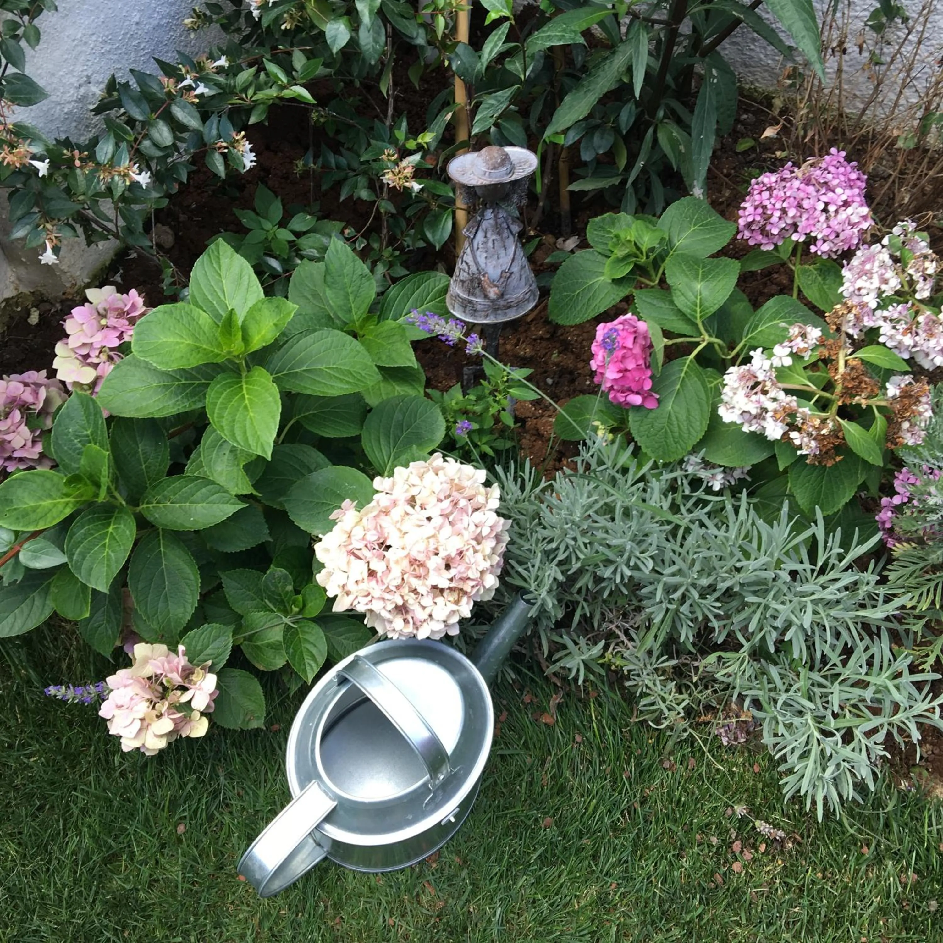 Garden in Serguzest Otel