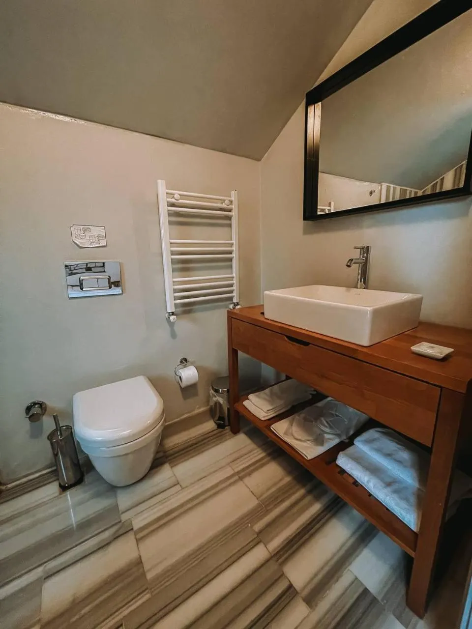 Toilet in Serguzest Otel