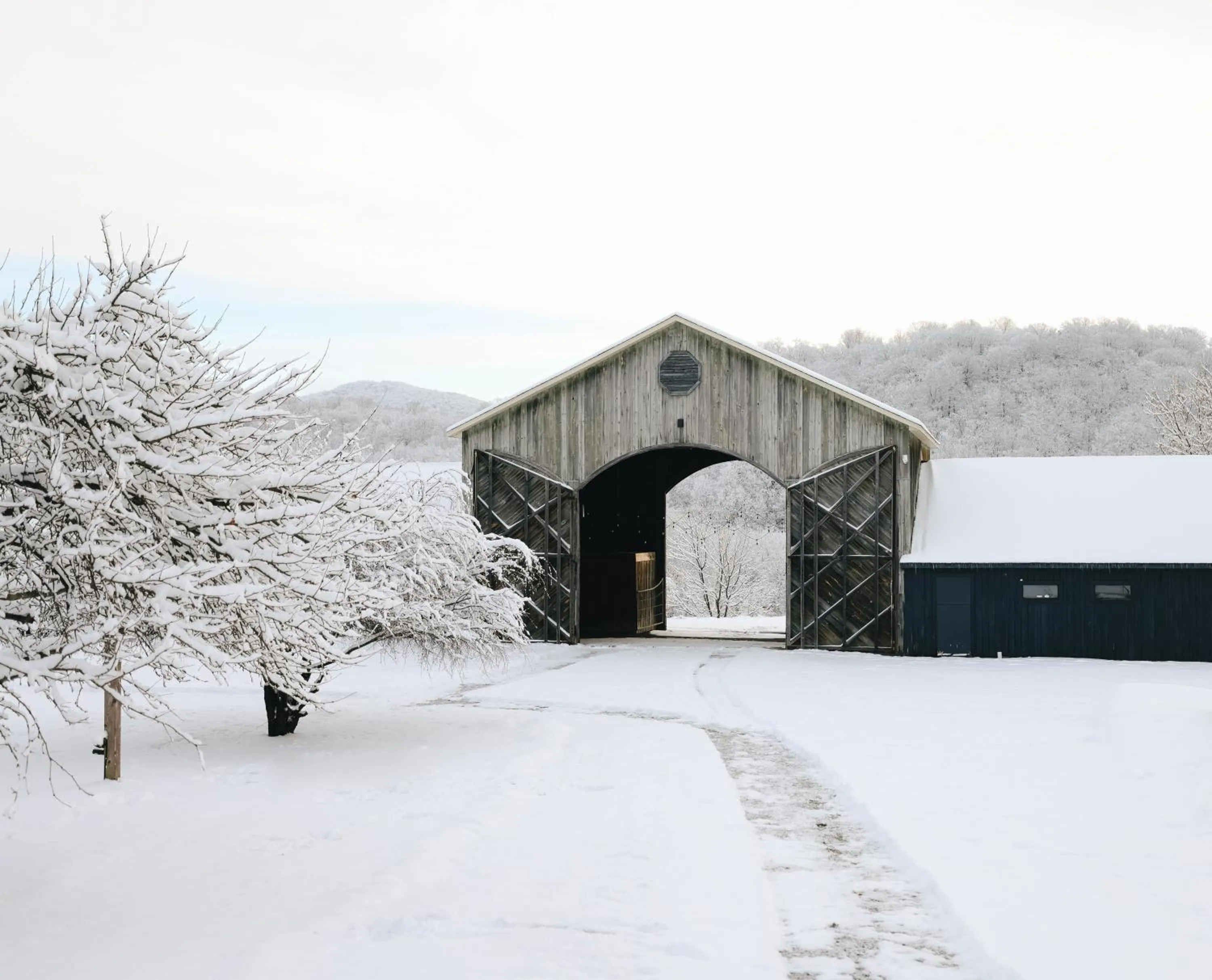 Winter in Beatnik Hotel