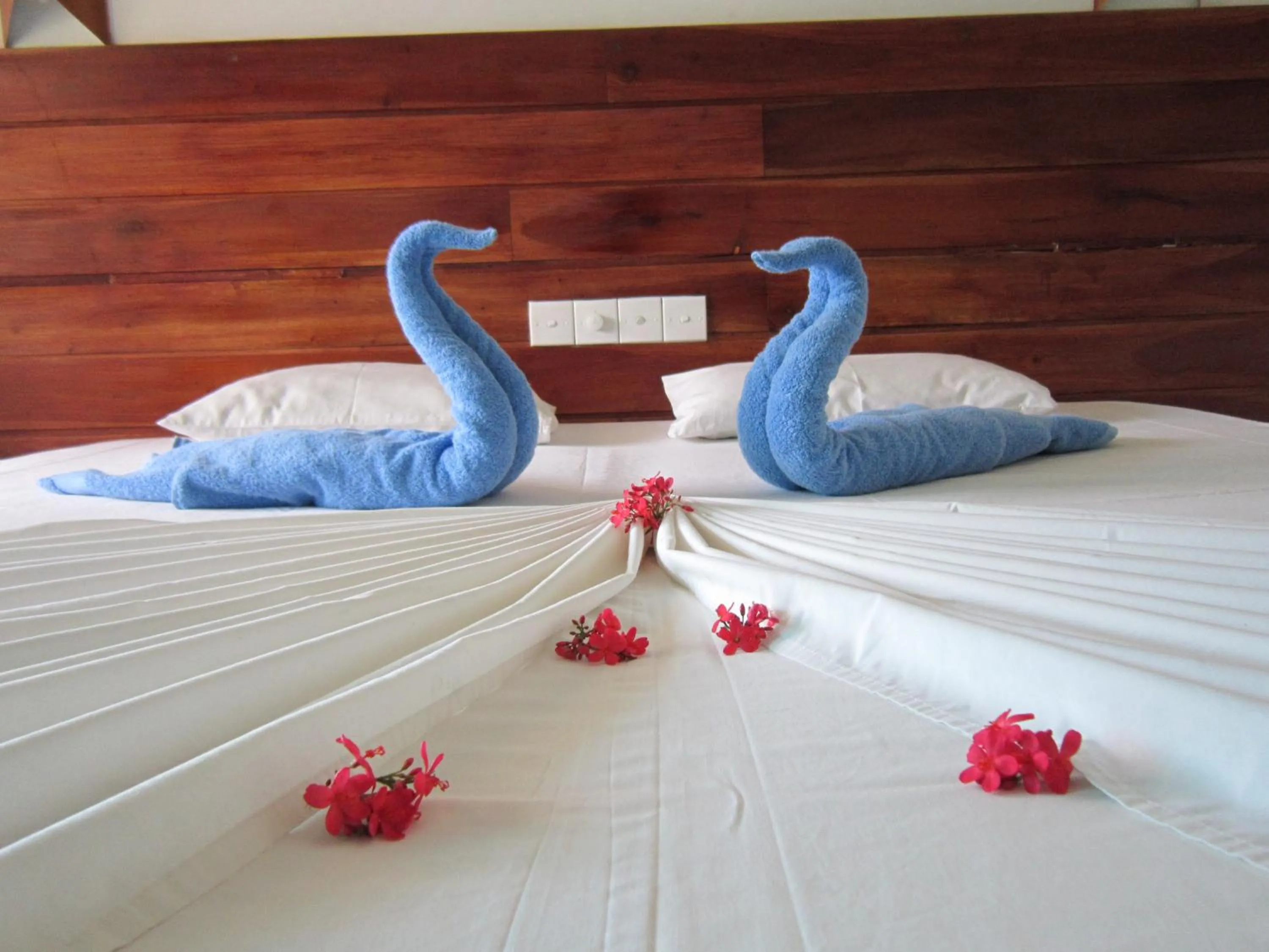 Bed in Janus Paradise Rest