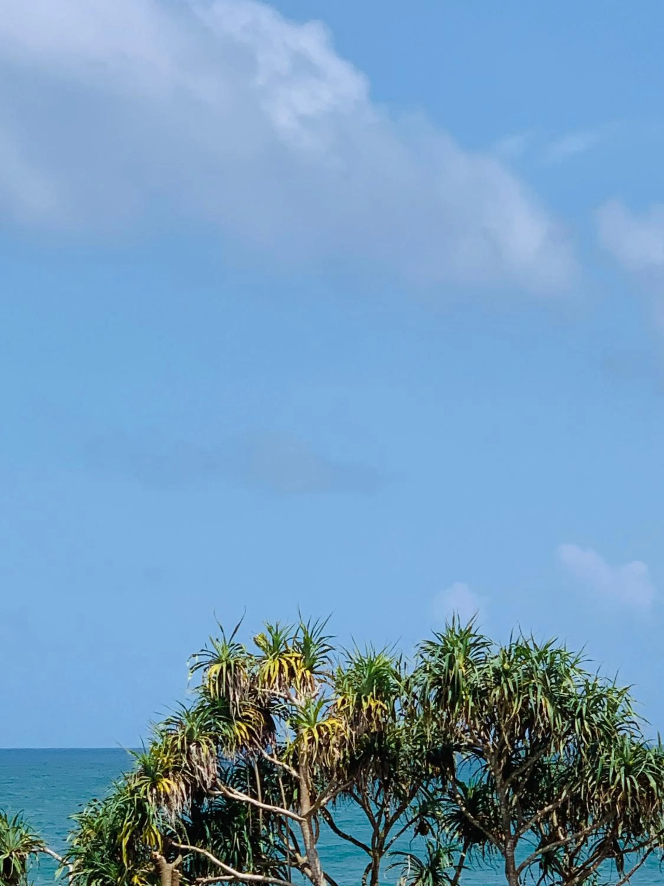 Beach in Janus Paradise Rest