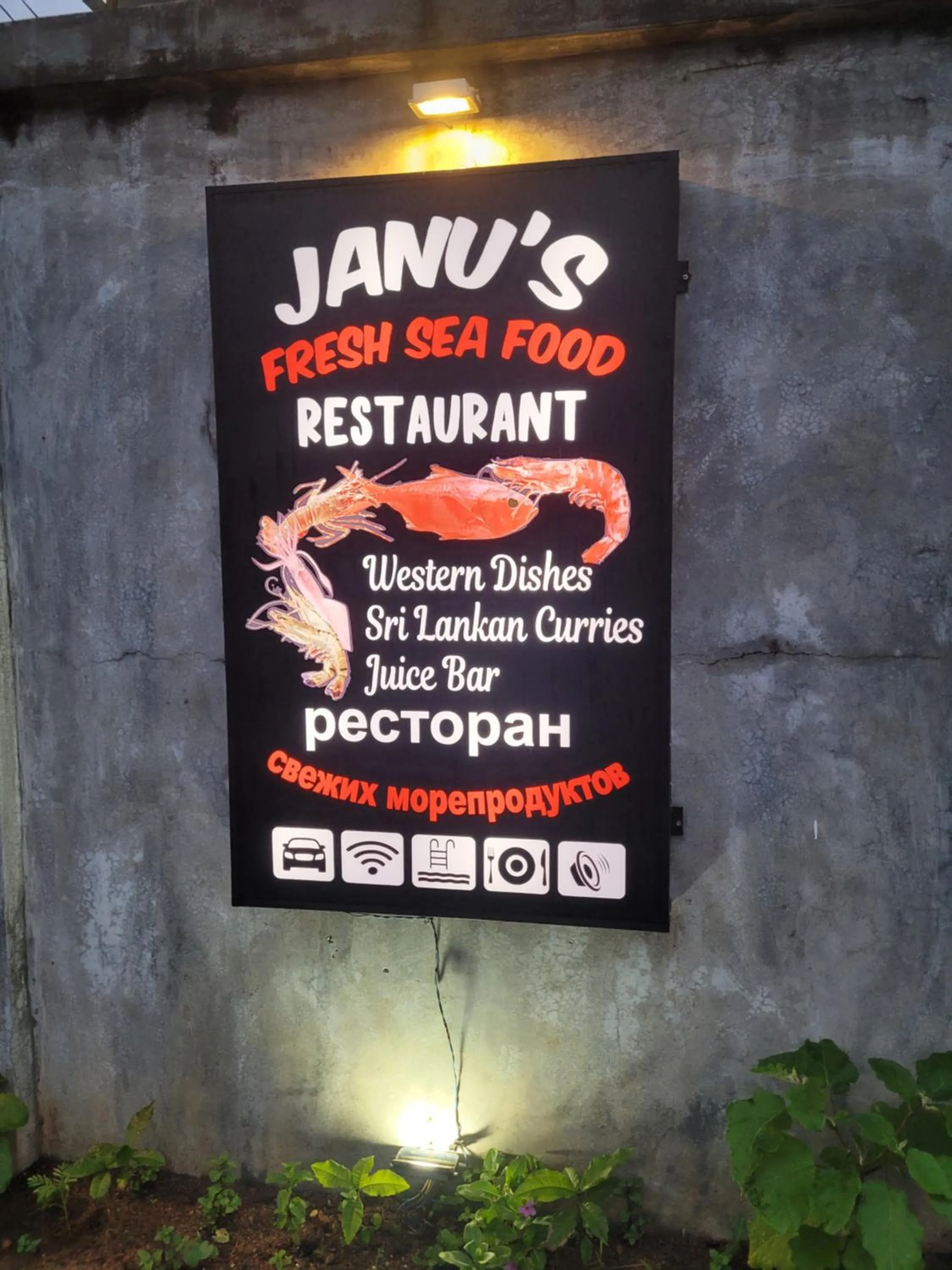 Restaurant/places to eat in Janus Paradise Rest