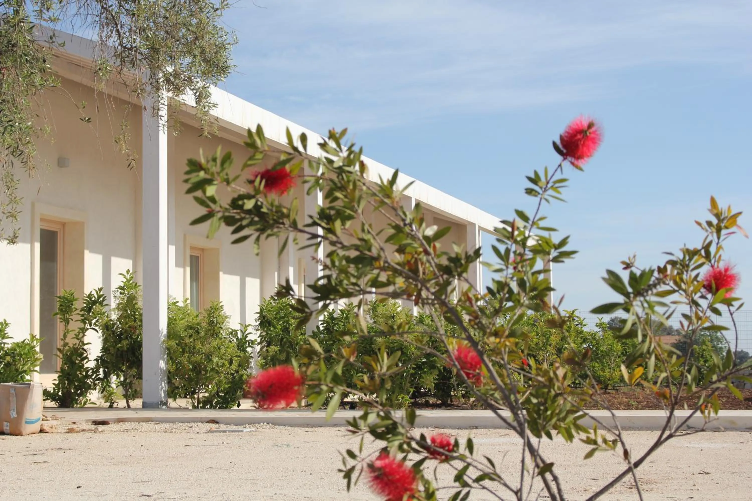 Property building in Addauro Resort