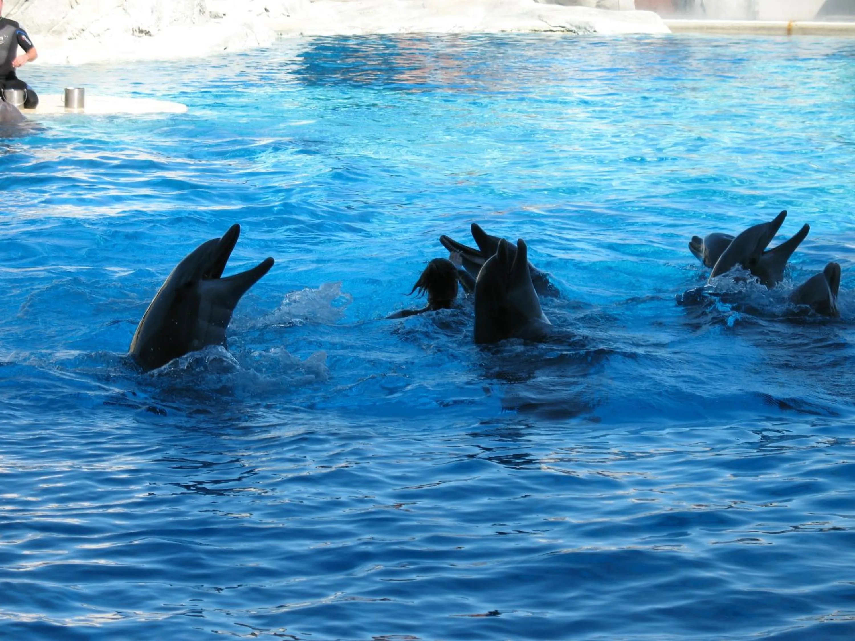 Aqua park in A Casa Di Gabri