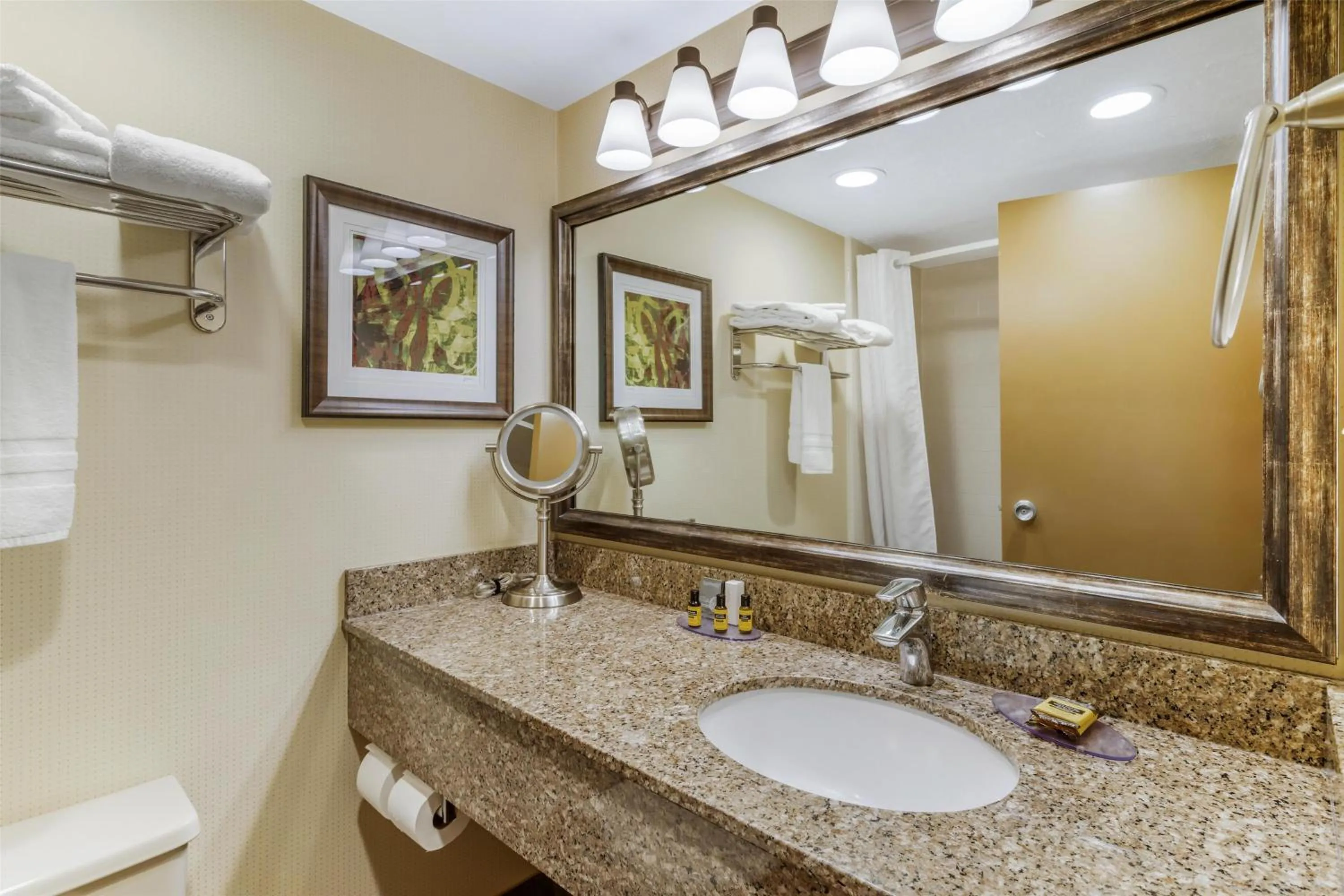 Bathroom in Best Western Plus Cedar City