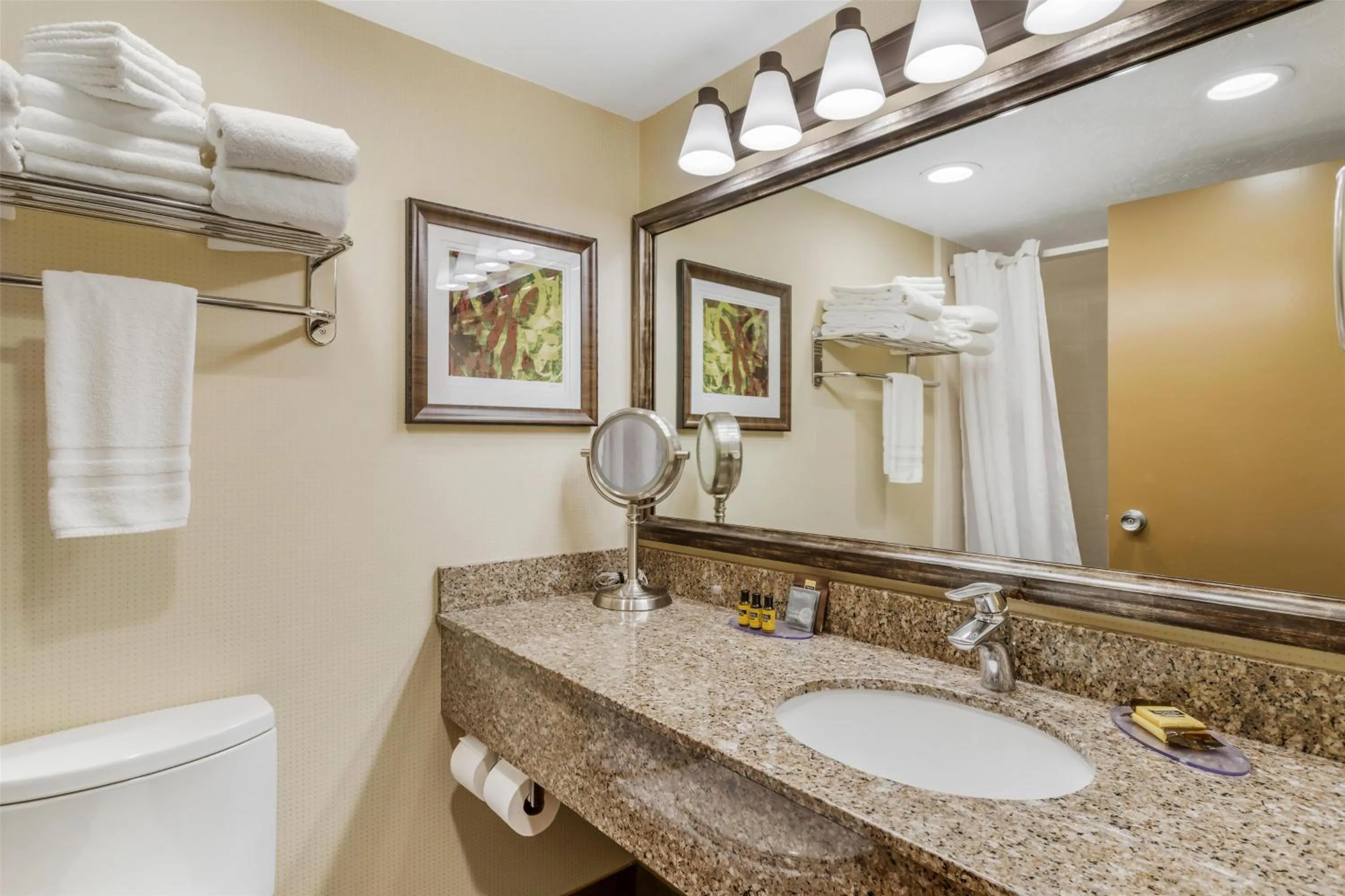 Bathroom in Best Western Plus Cedar City