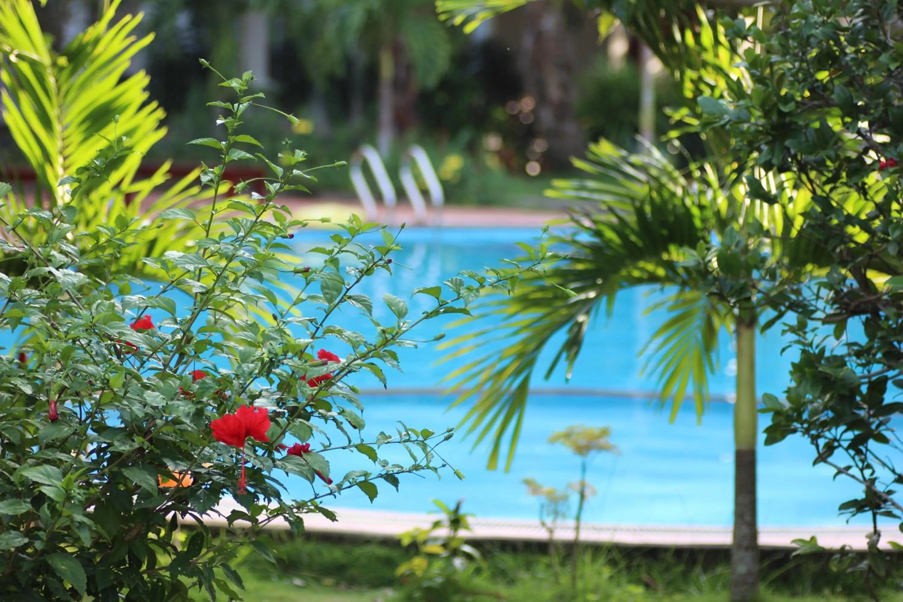 Garden in Long Mountain Resort
