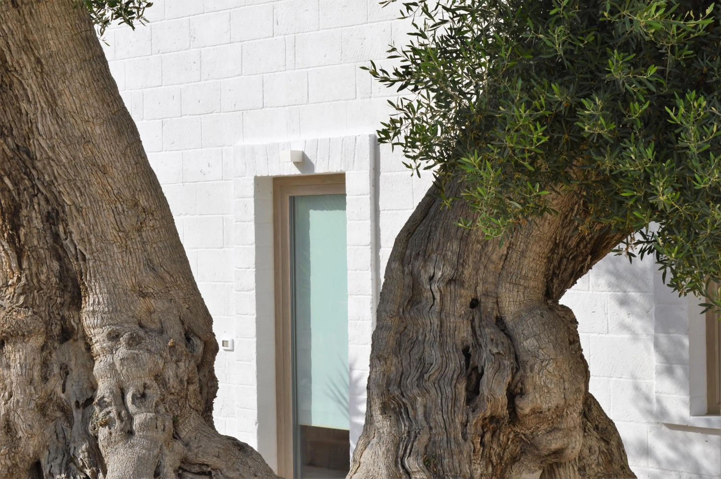 Property building in Masseria Torrepietra