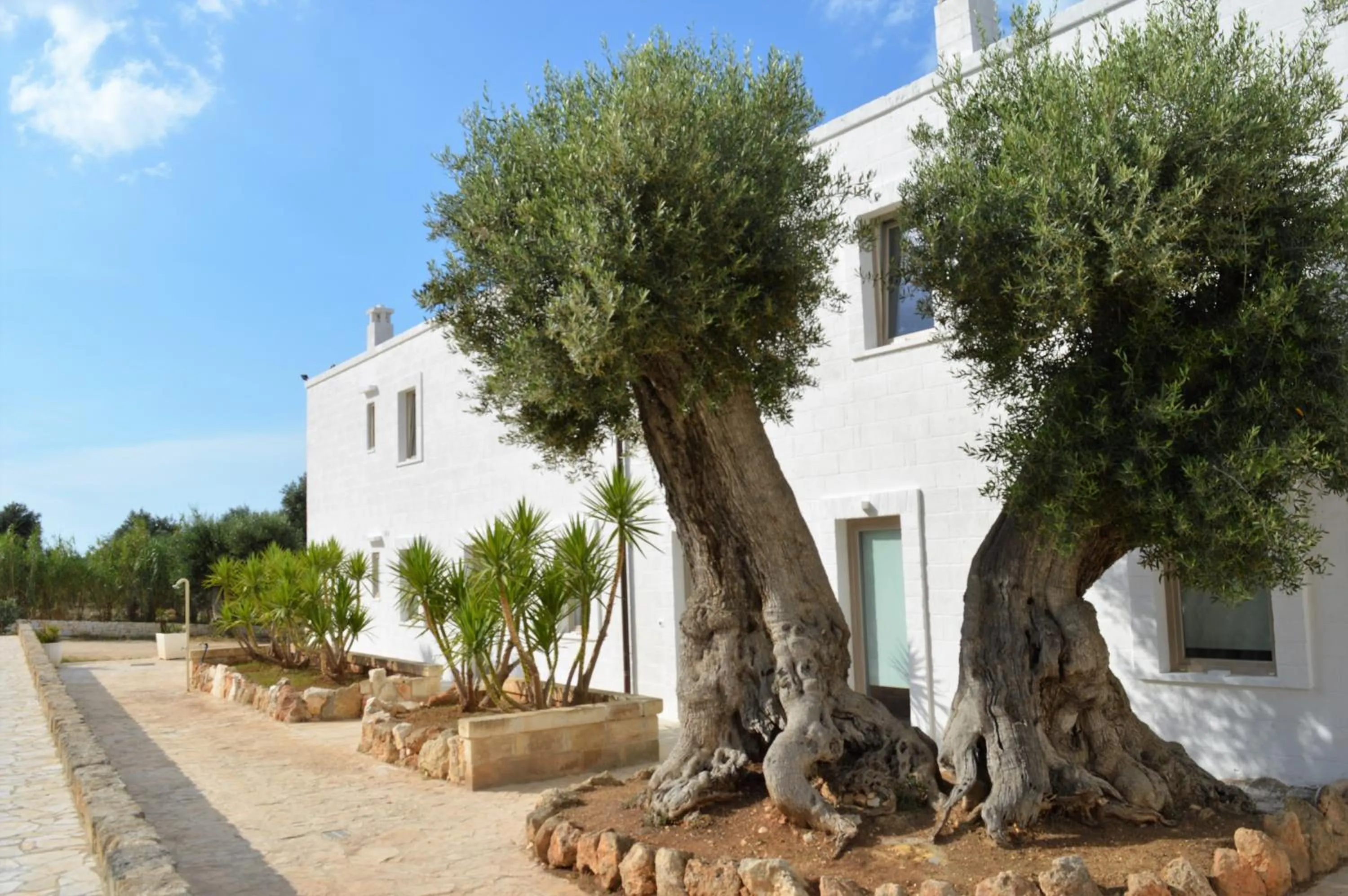 Property building in Masseria Torrepietra