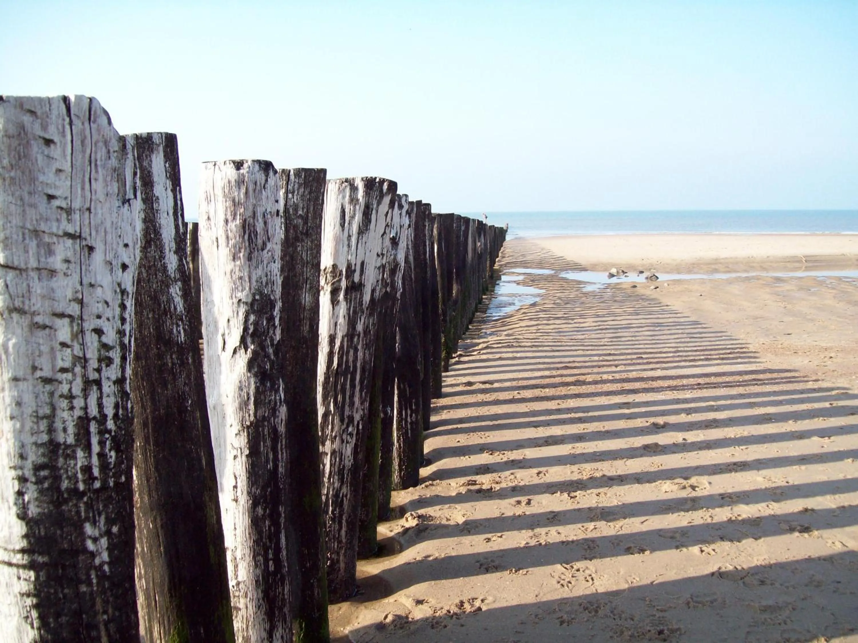 Beach in Het Koetshuis