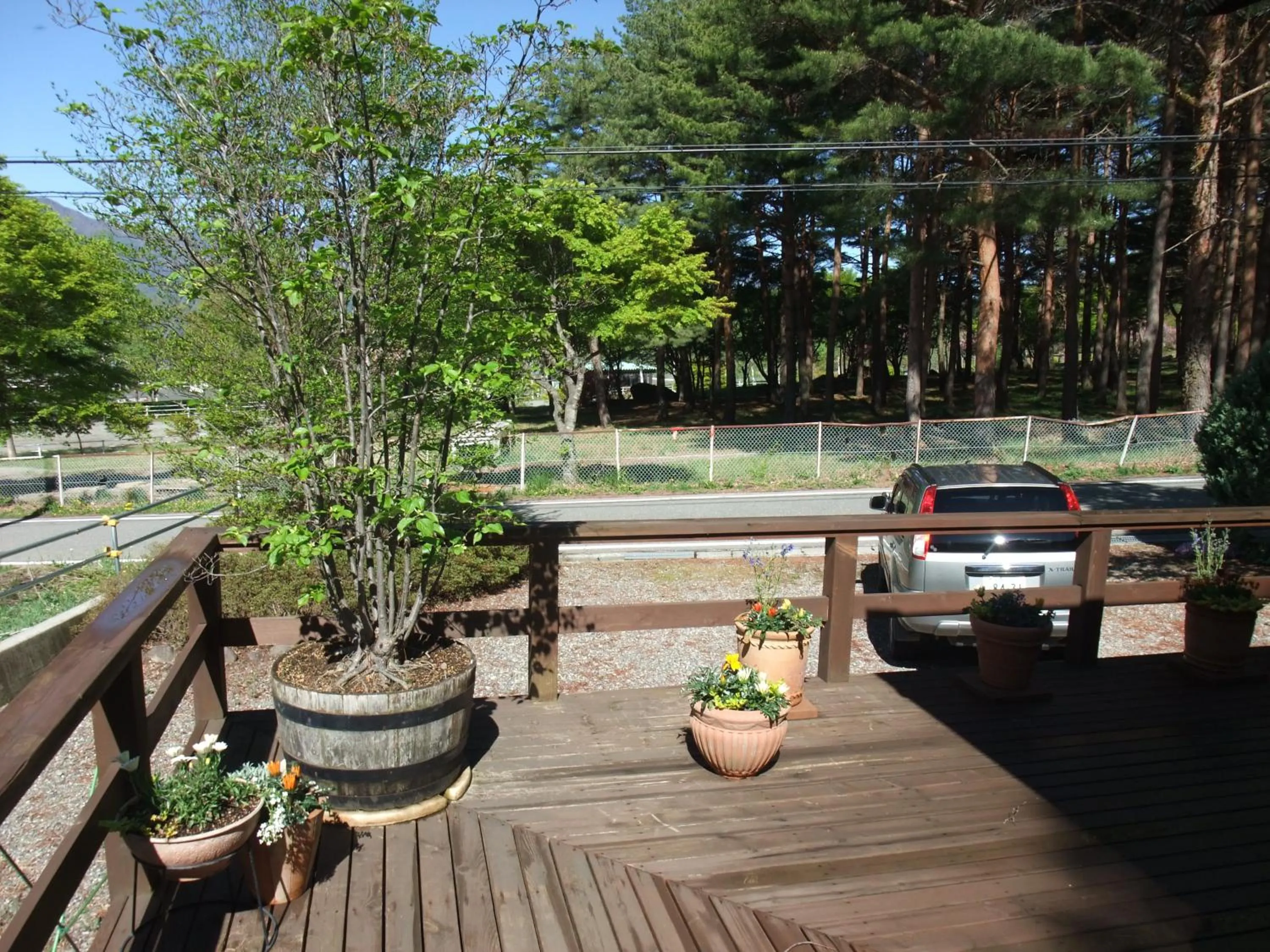 Spring in Gasthof Ascot