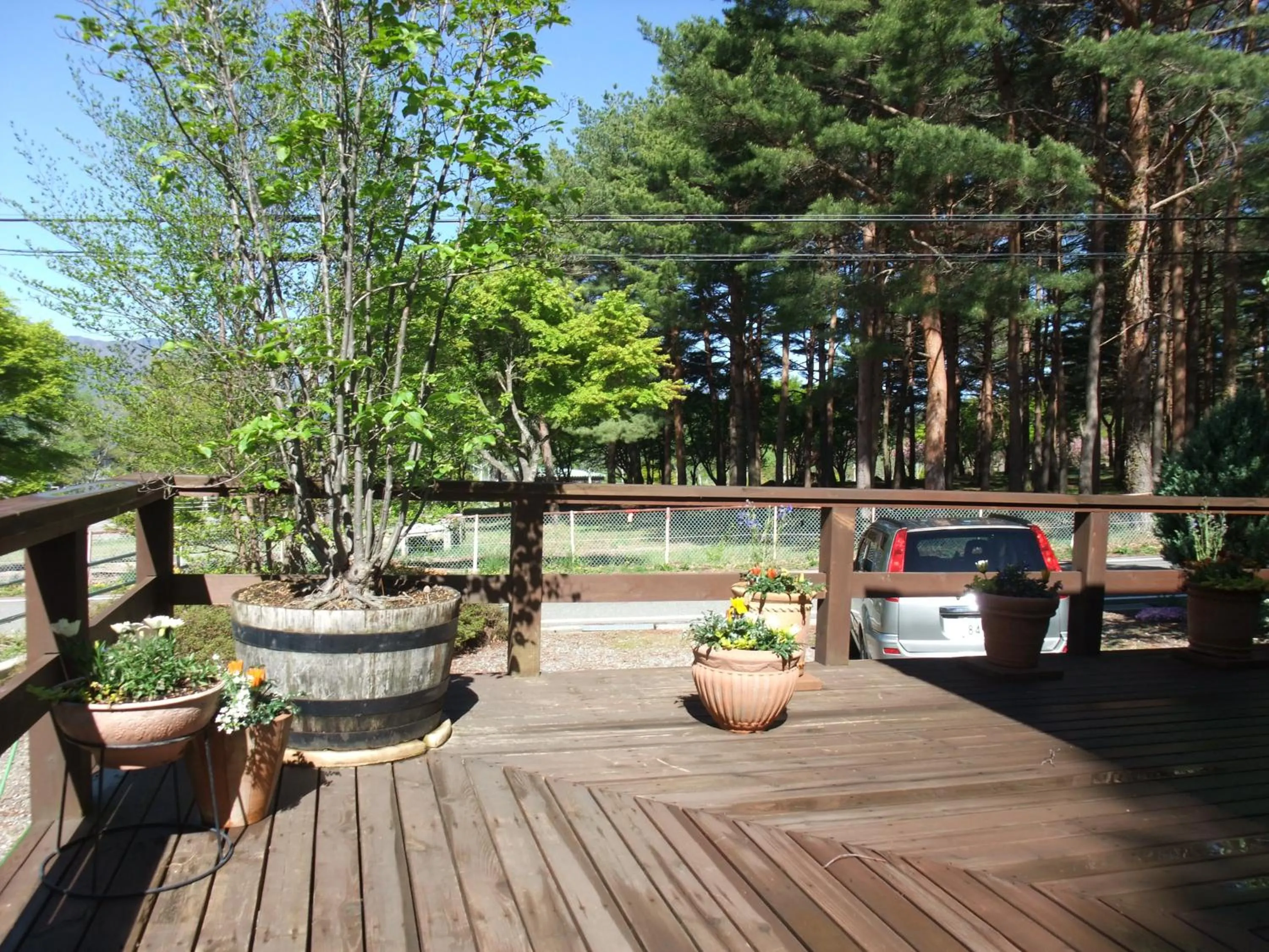 Balcony/Terrace in Gasthof Ascot