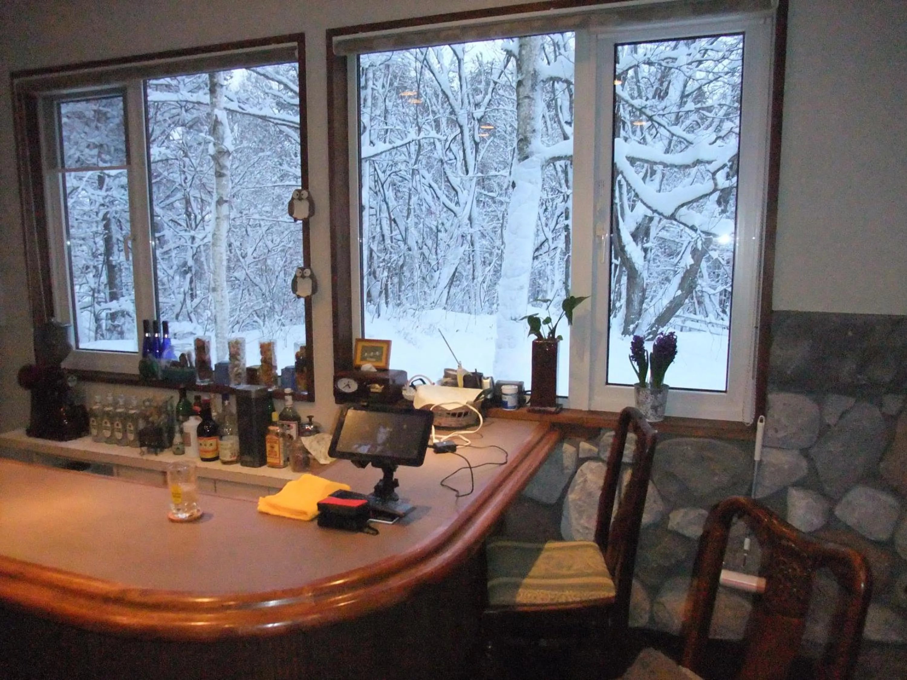 Winter in Gasthof Ascot