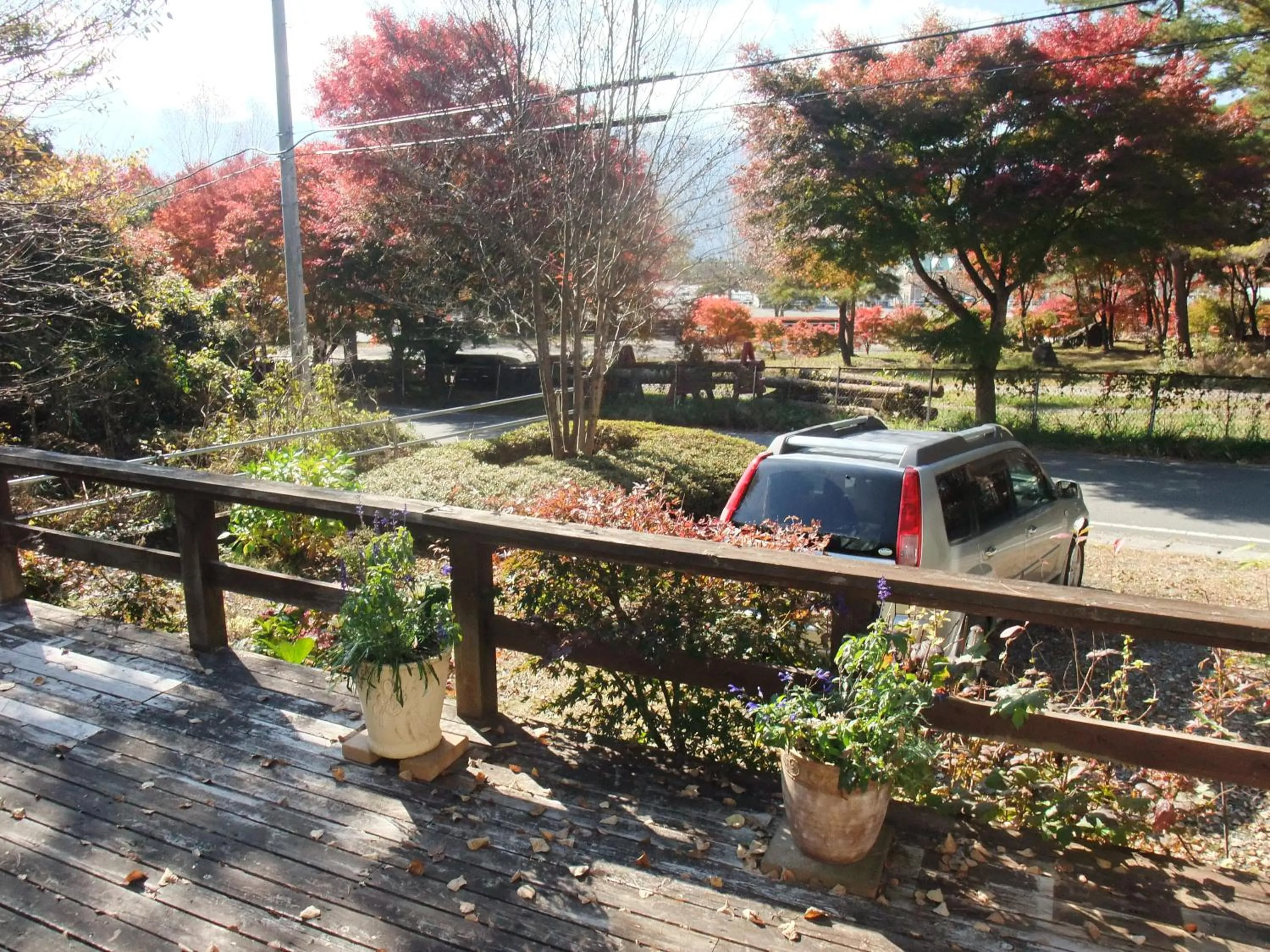 View (from property/room) in Gasthof Ascot