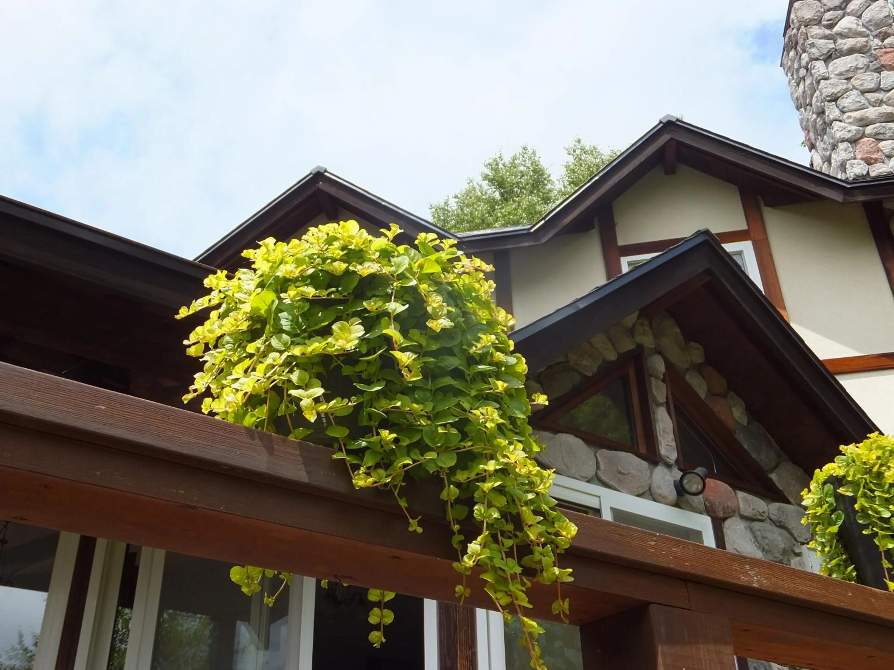 Property building in Gasthof Ascot