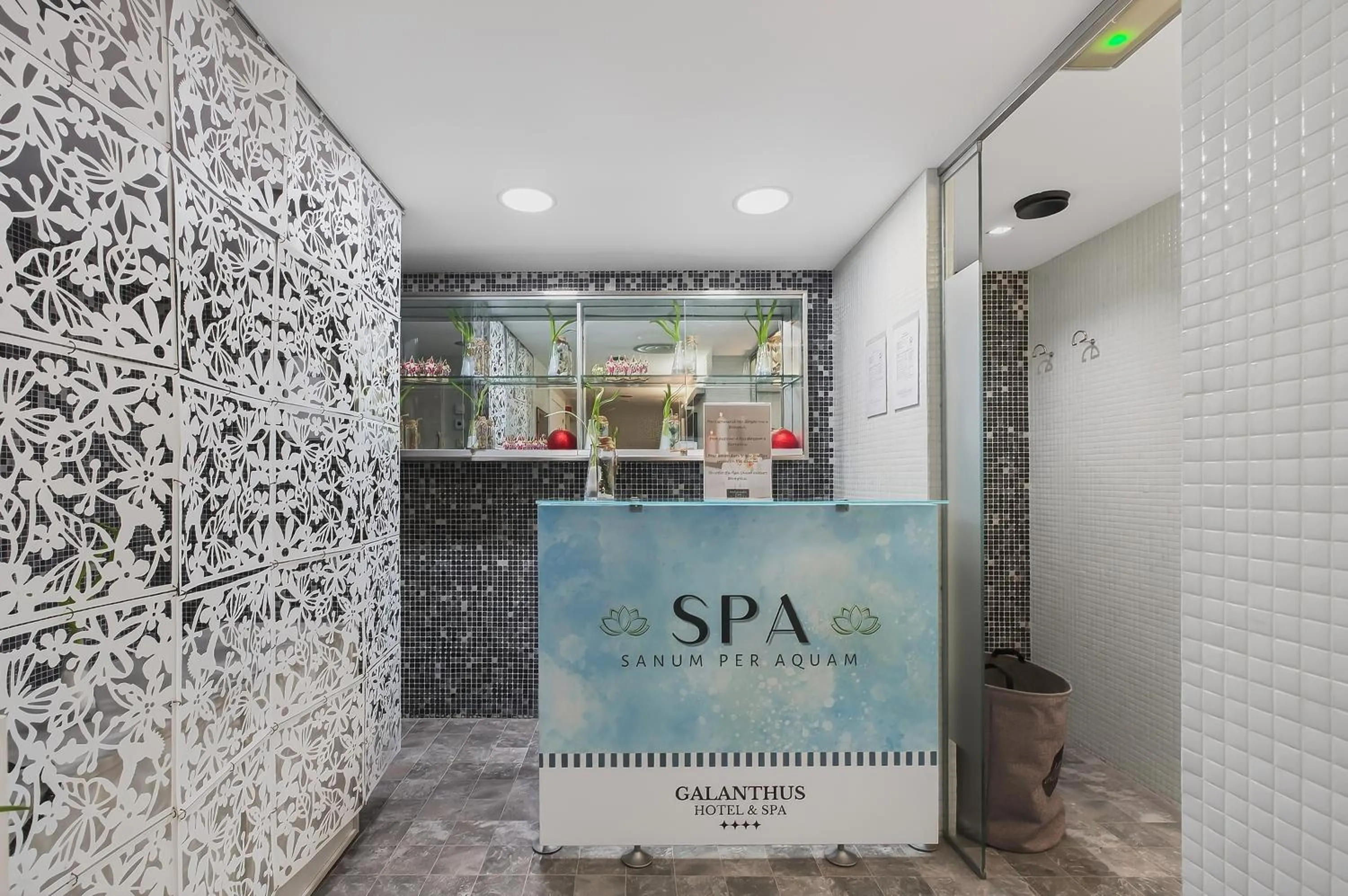 Spa and wellness centre/facilities in Wuau! Hotel Galanthus & Spa