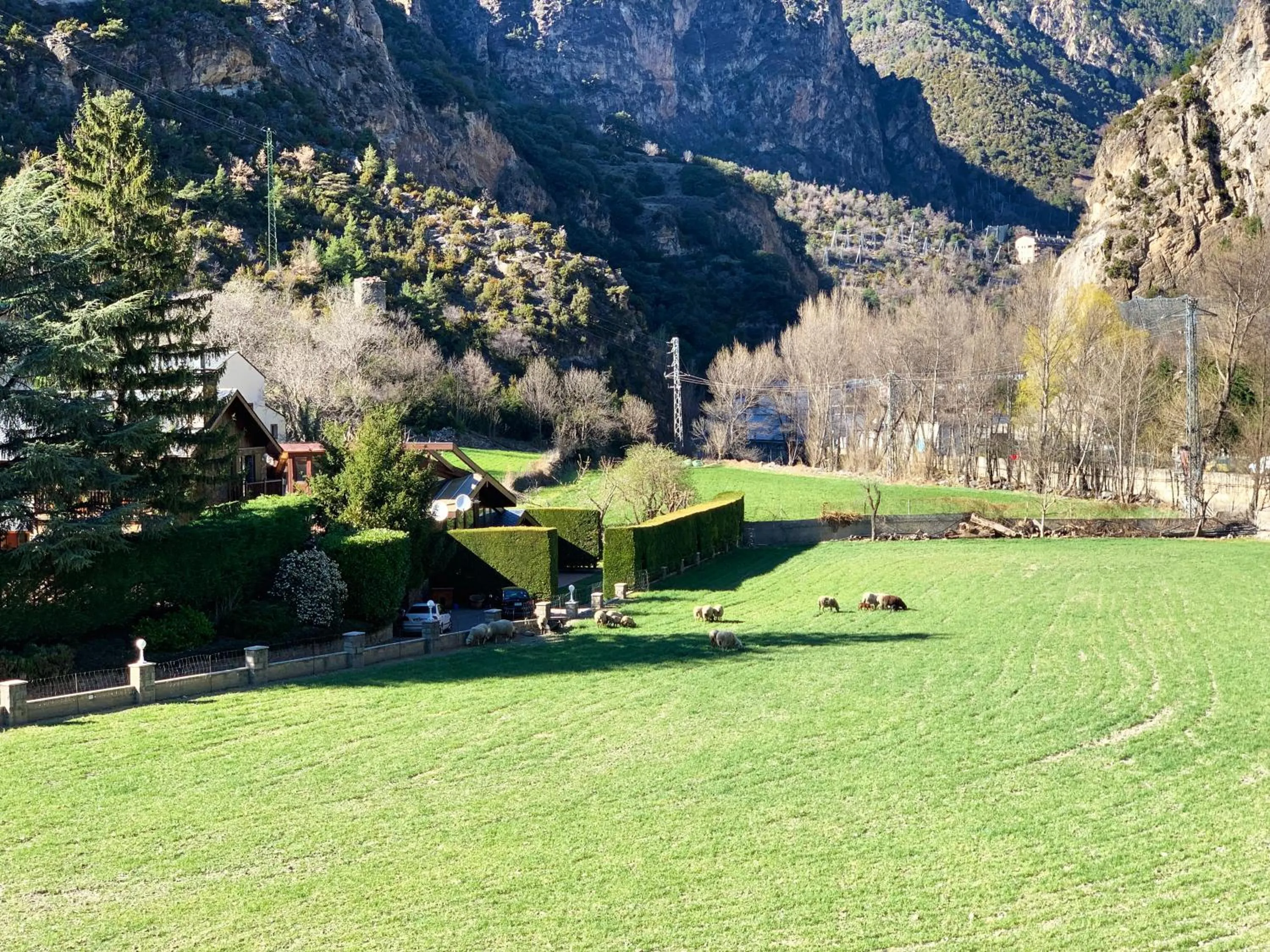 Garden view in Hotel Barcelona