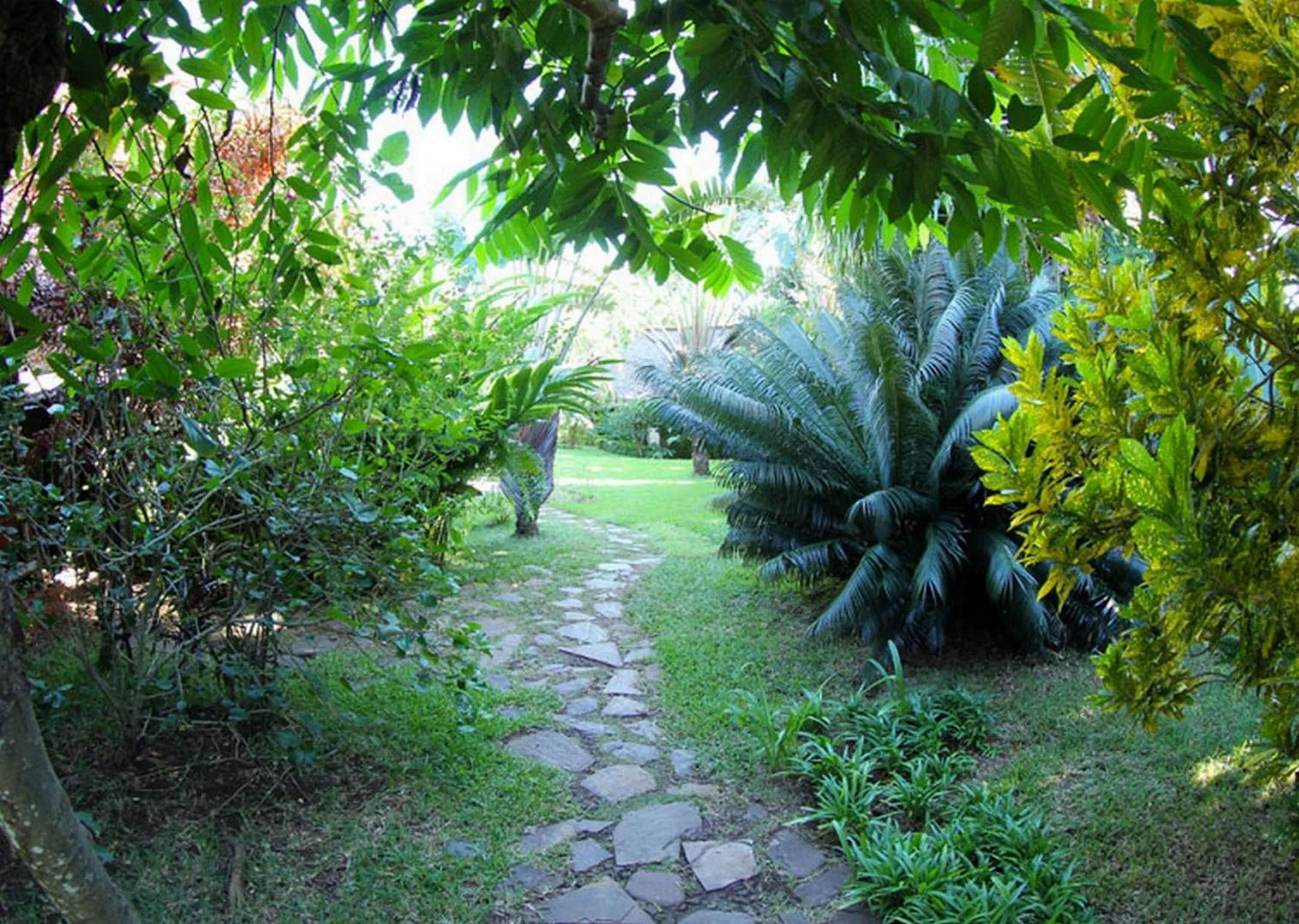 Off site in Clair de Lune