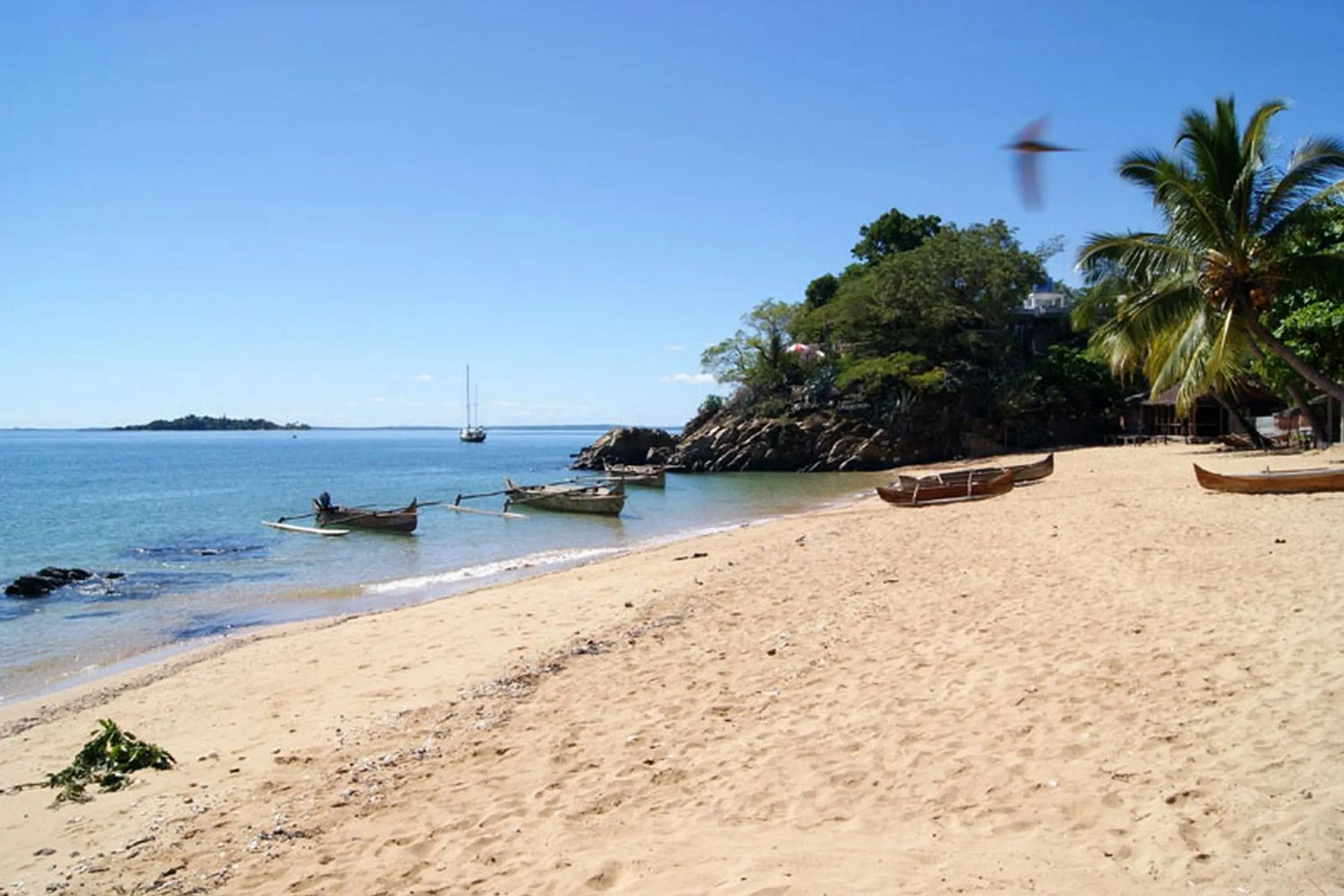Natural landscape in Clair de Lune